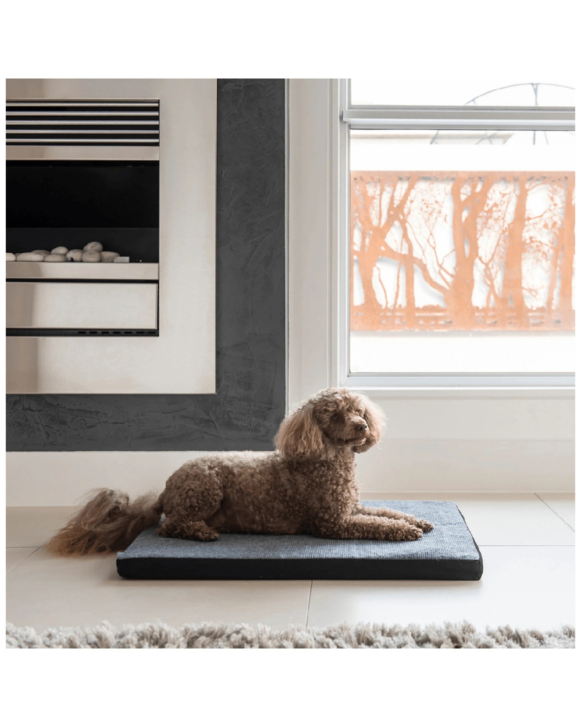 3 SUPERIOR PET ESSENTIALS Carpet Dog Mat Mini - Antimicrobial Dog Mat - Portable - Grey, 3 of 3