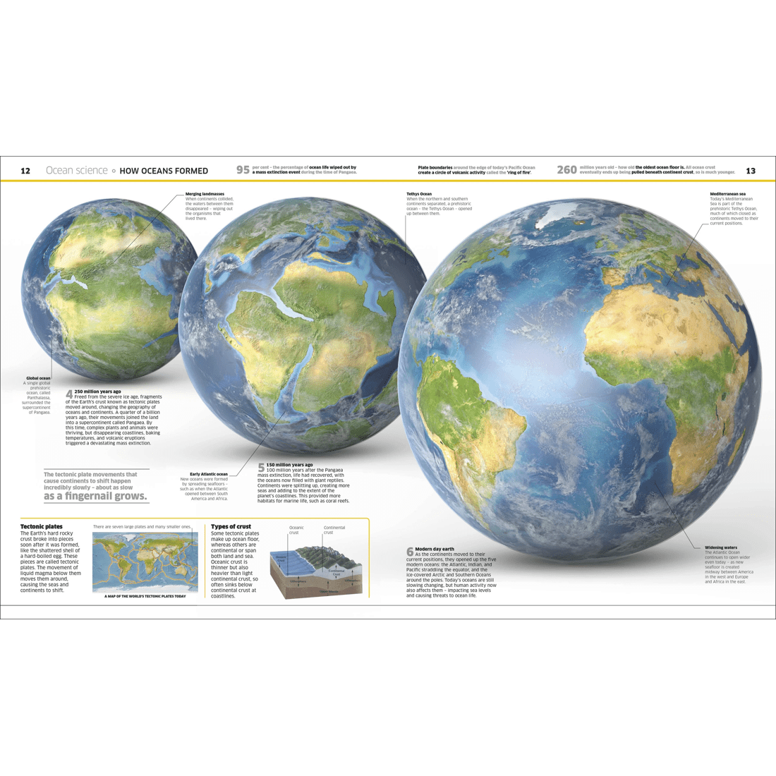 2 Knowledge Encyclopedia: Ocean! - Book, 2 of 4