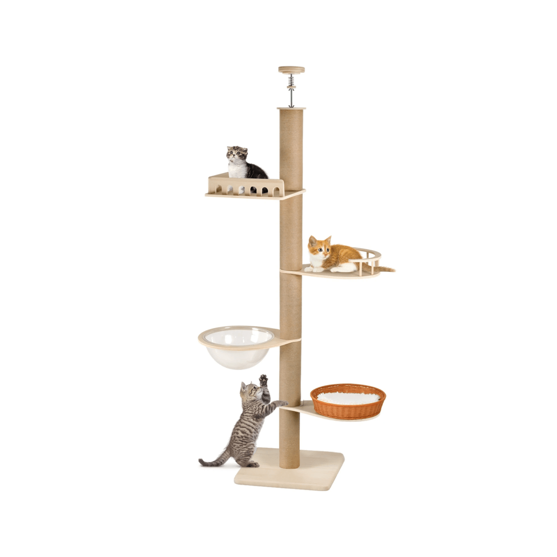 1 Advwin Cat Tree Floor To Ceiling Scratching Post 255cm-265cm, 1 of 8