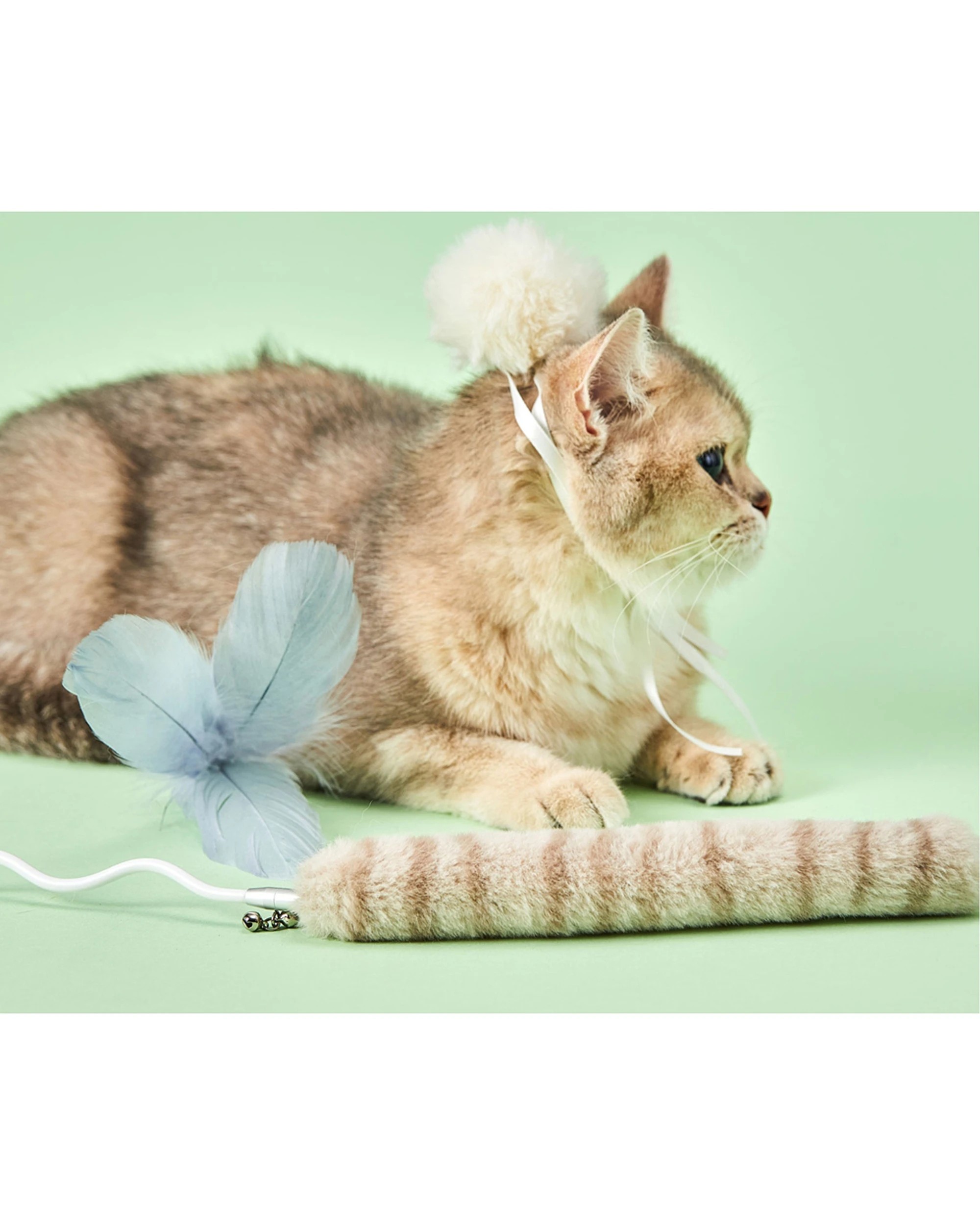 3 Petkit 3pc Bingo Cat Wand Replacement Accessories Set Tail Feather Fur Ball - Multi, 3 of 3