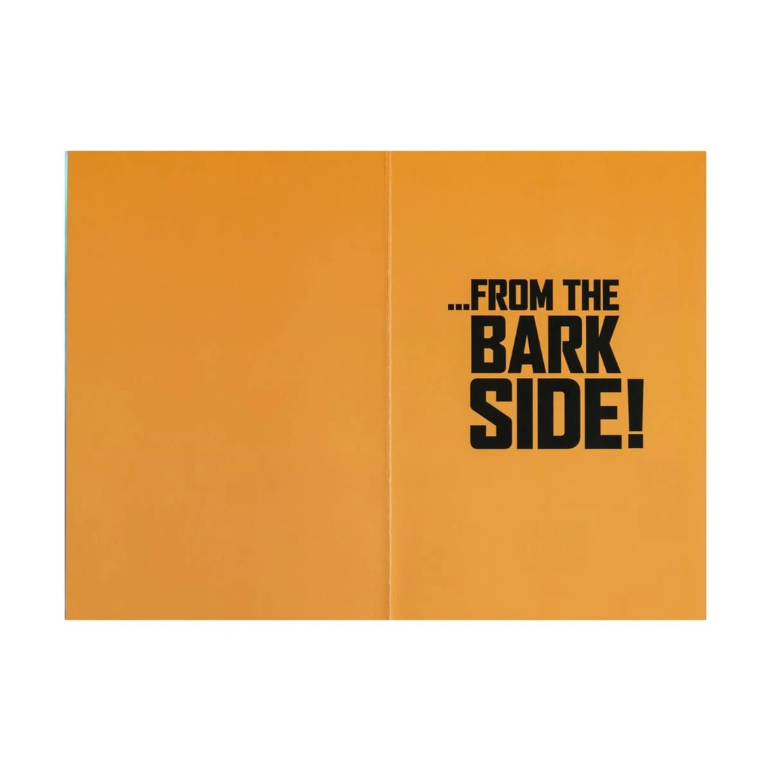 2 Humour Birthday Card, 2 of 2