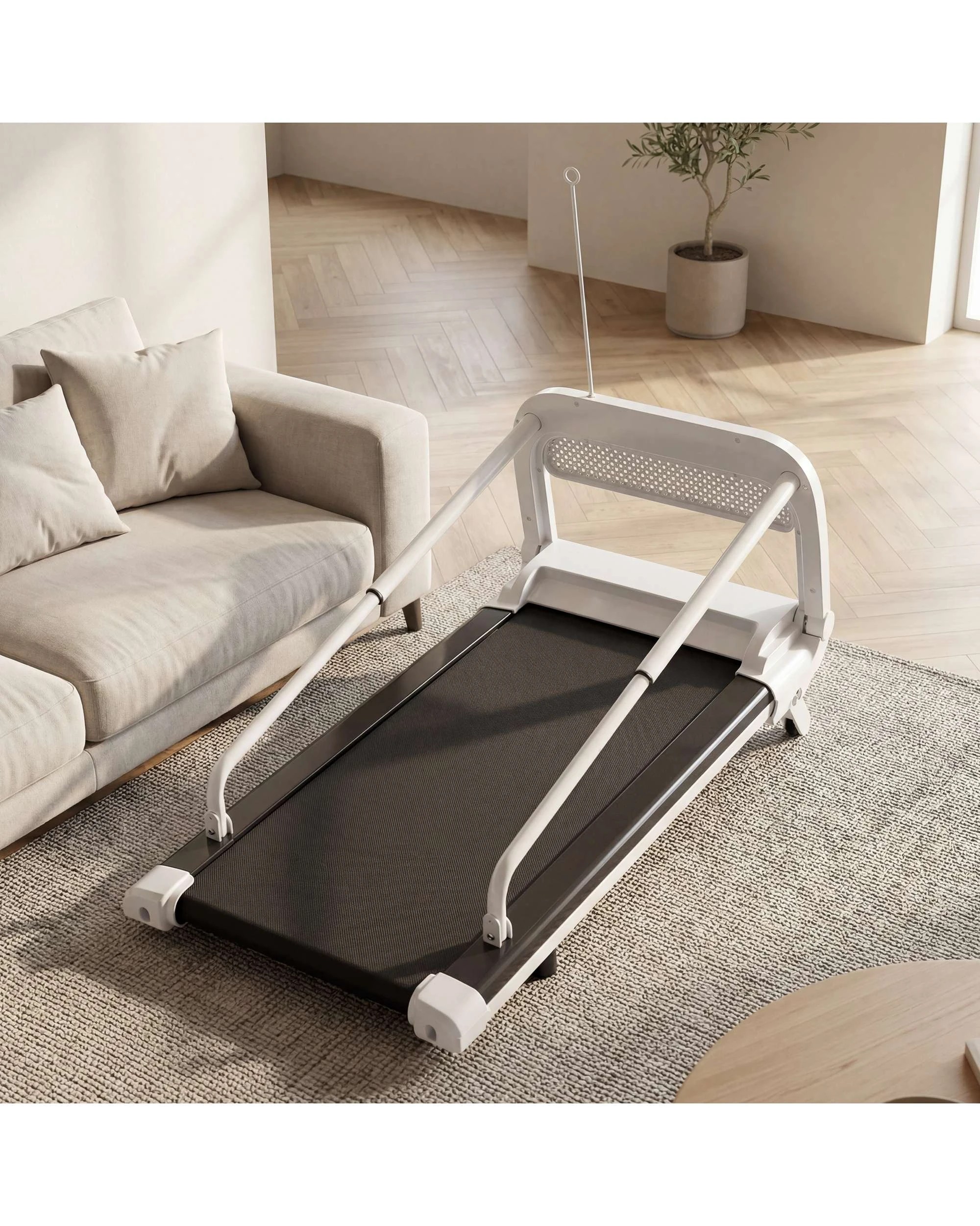 2 Advwin Dog Treadmill Pet Running Machine, 2 of 9