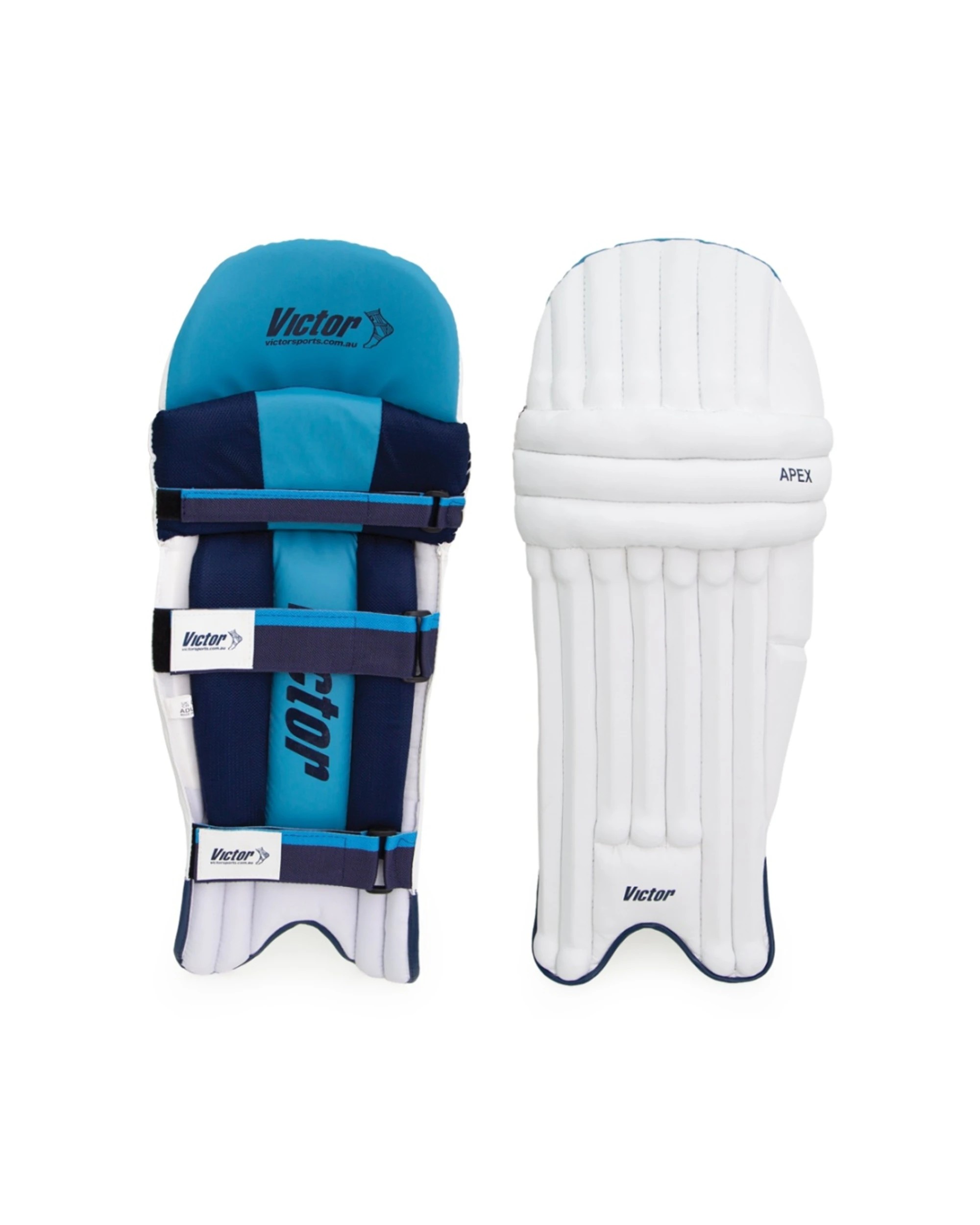 2 Victor Sports Apex Cricket Batting Pads EVA Kapok Traditional Knee Adult - White, 2 of 3