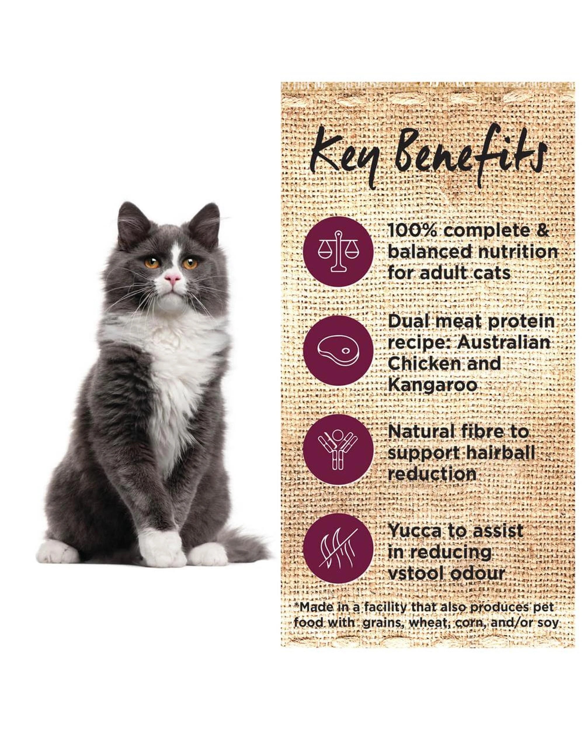 3 Ivory Coat Adult Grain Free Dry Cat Food Chicken & Kangaroo 4kg, 3 of 6