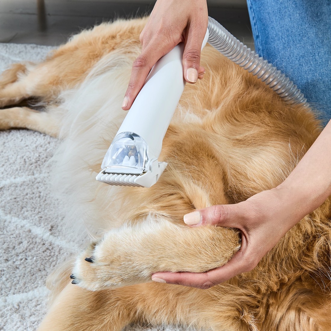 4 Pet Vacuum and Grooming Kit, 4 of 10