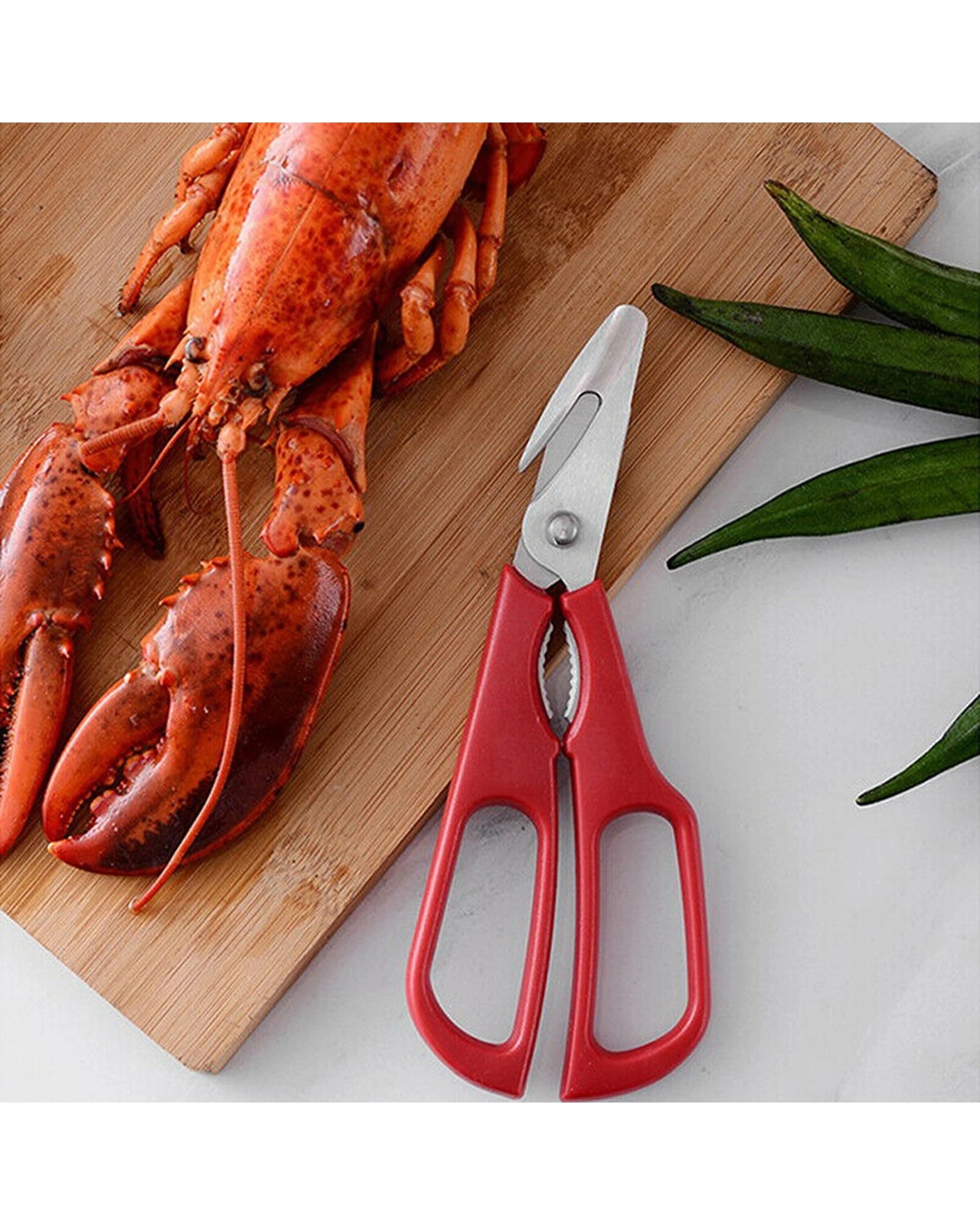 4 Avanti Durable Seafood Shears Stainless Steel With Ergonomic Handles - Red, 4 of 4