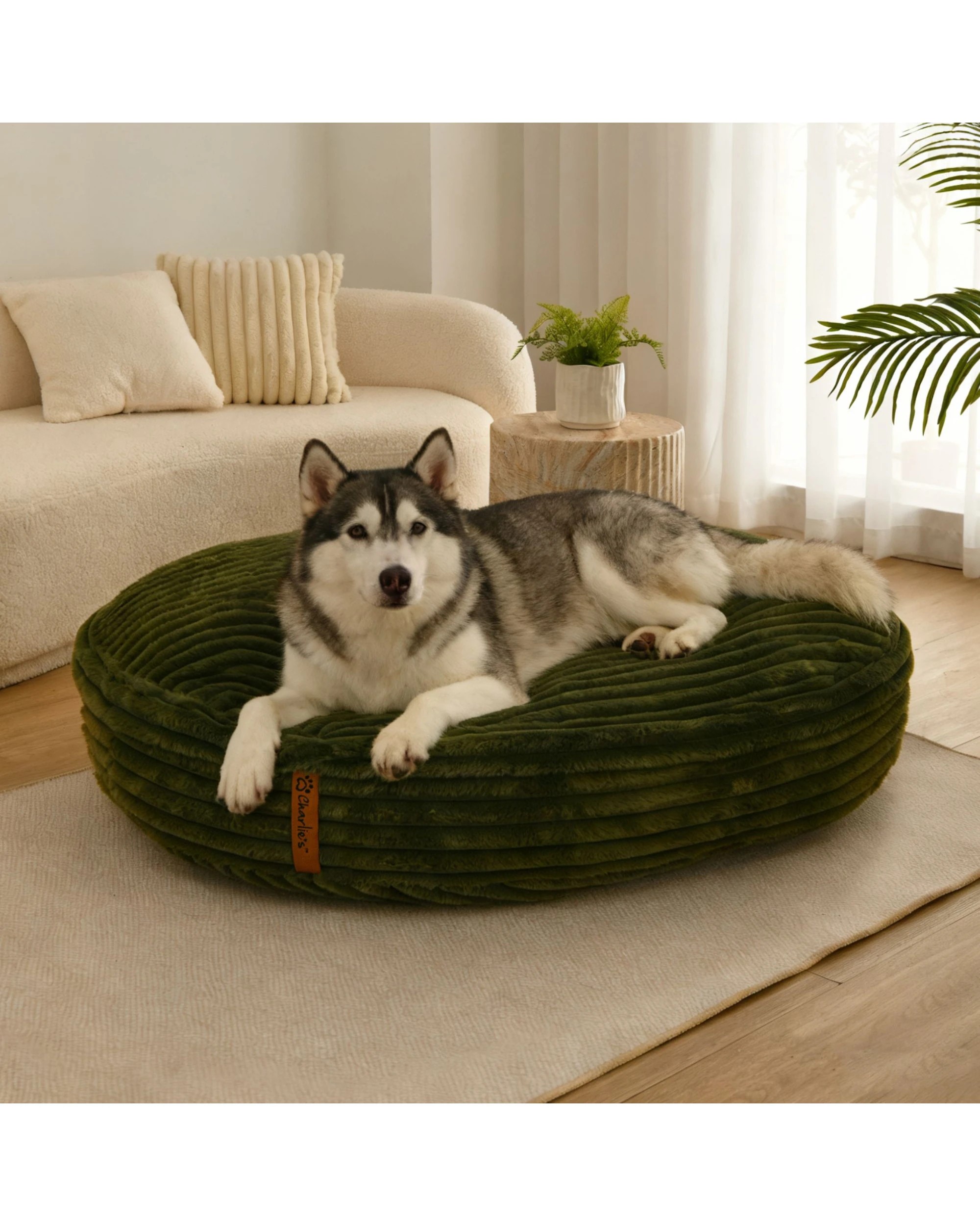 1 Charlie's Cloud Crushed Foam Dog Bed Large - Olive, 1 of 8