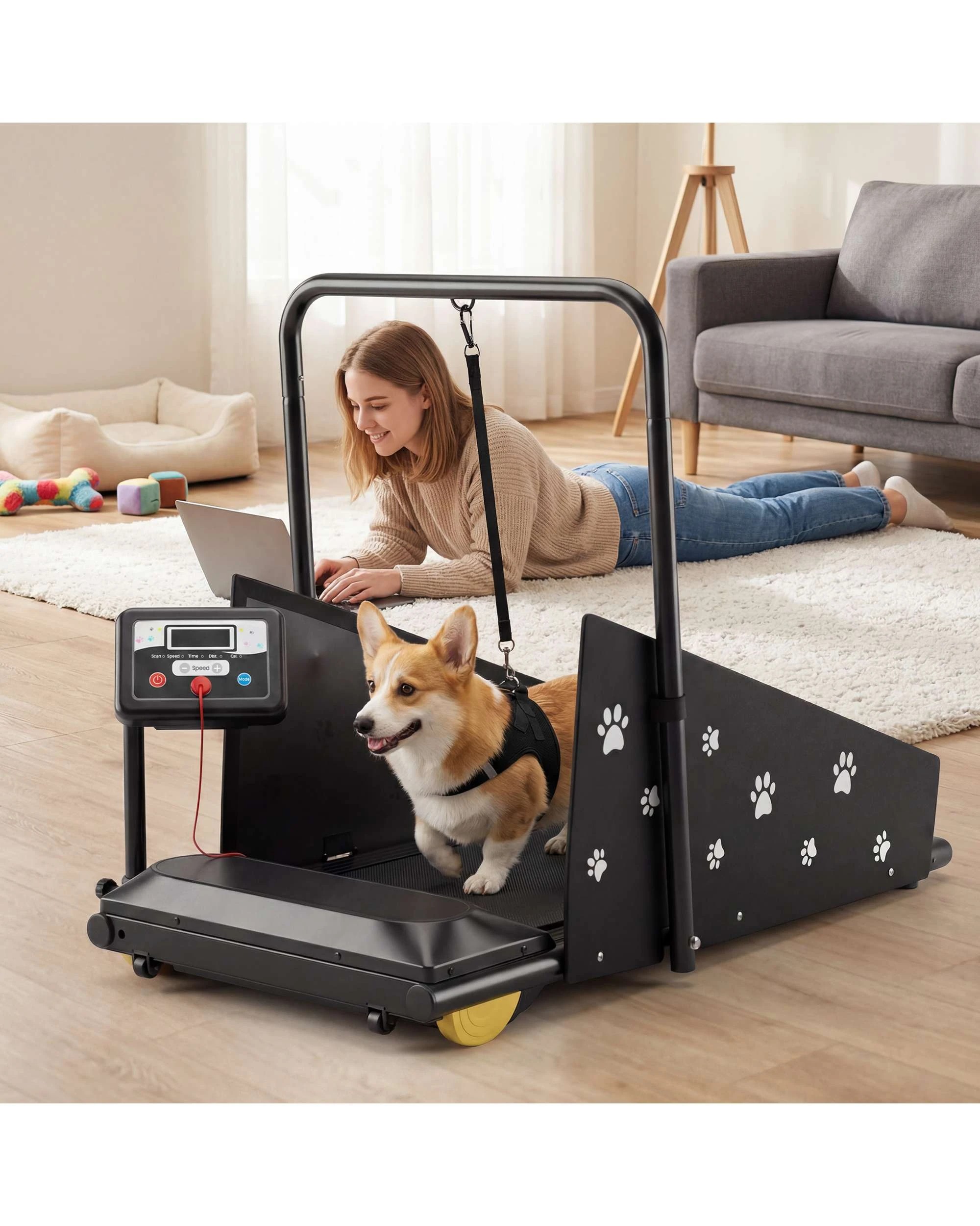 2 Advwin Dog Treadmill Pet Running Machine, 2 of 8