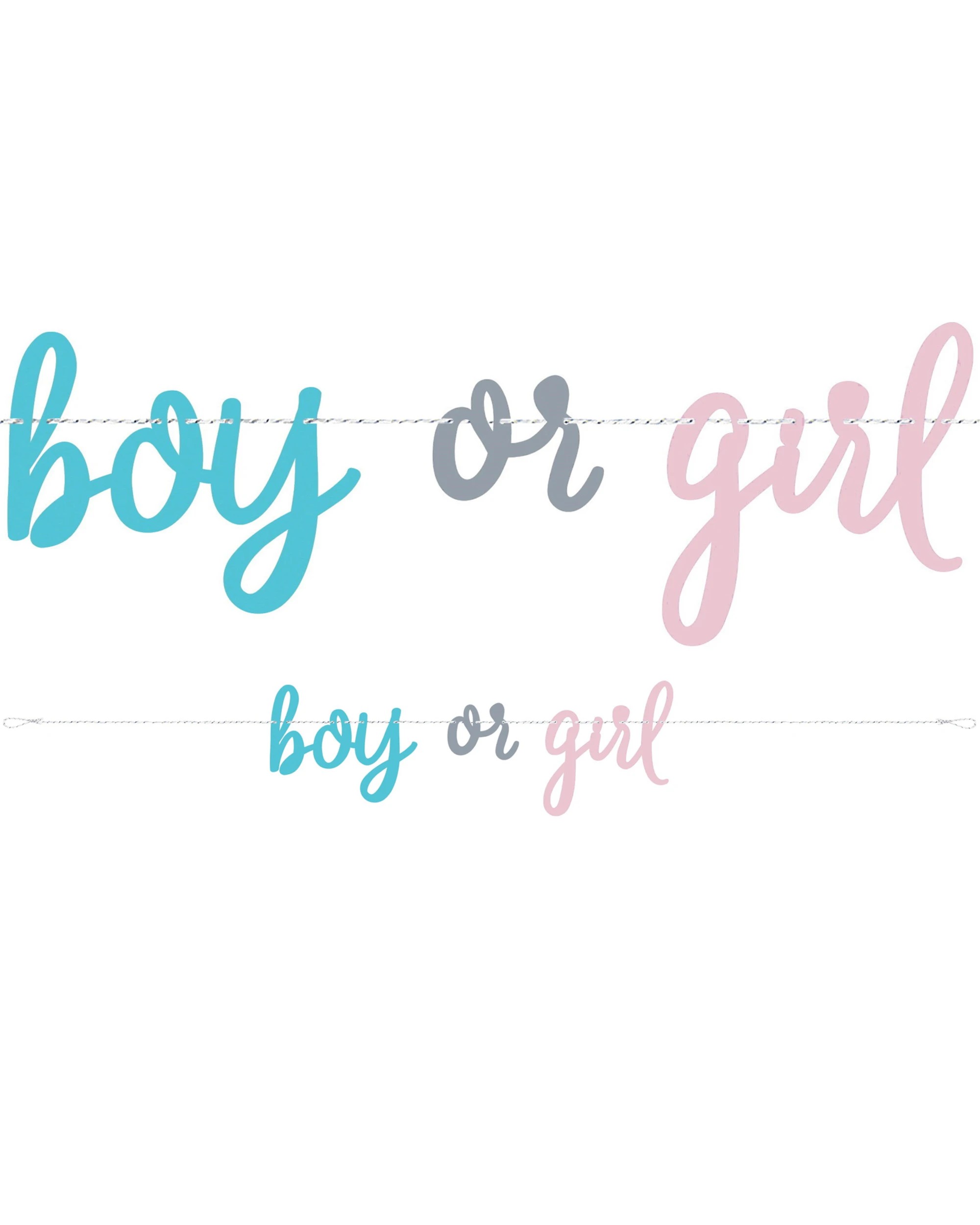 1 Unique Gender Reveal Party Boy or Girl Letter Banner, 1 of 1