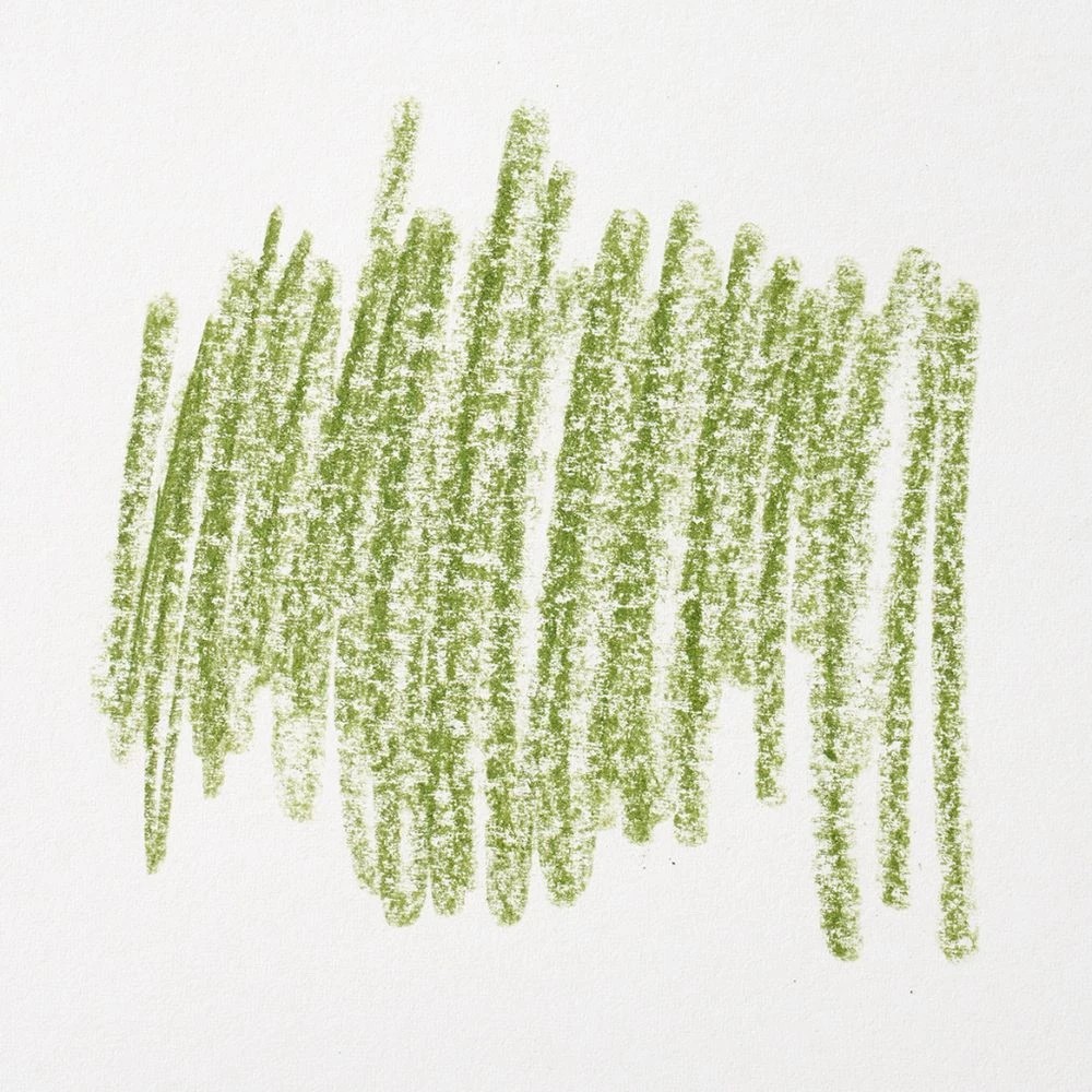 3 Born Premium Colour Pencil Olive, 3 of 3