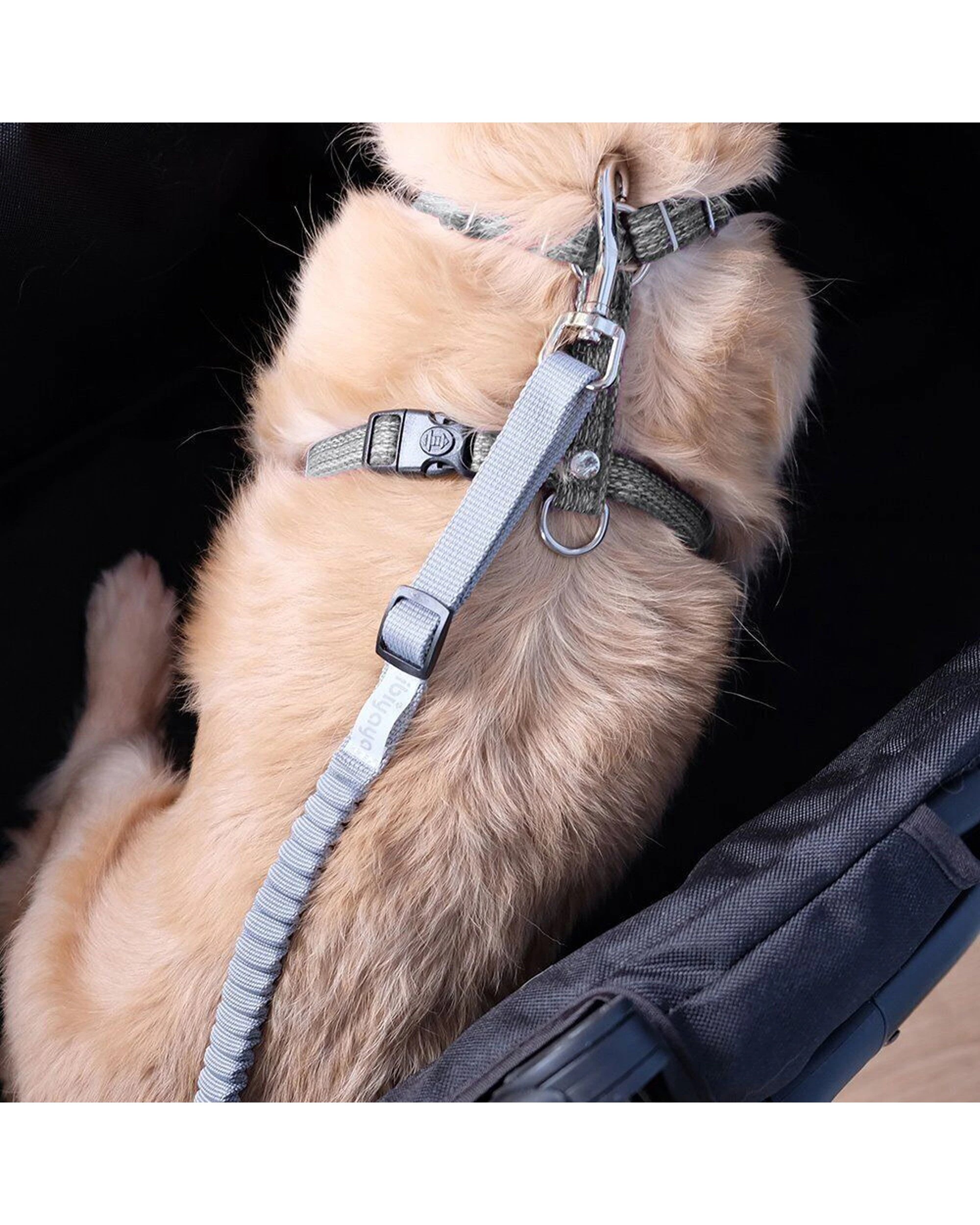 3 Ibiyaya No Shock Bungee Leash Extension And Stroller Tether Adjustable - Grey, 3 of 3