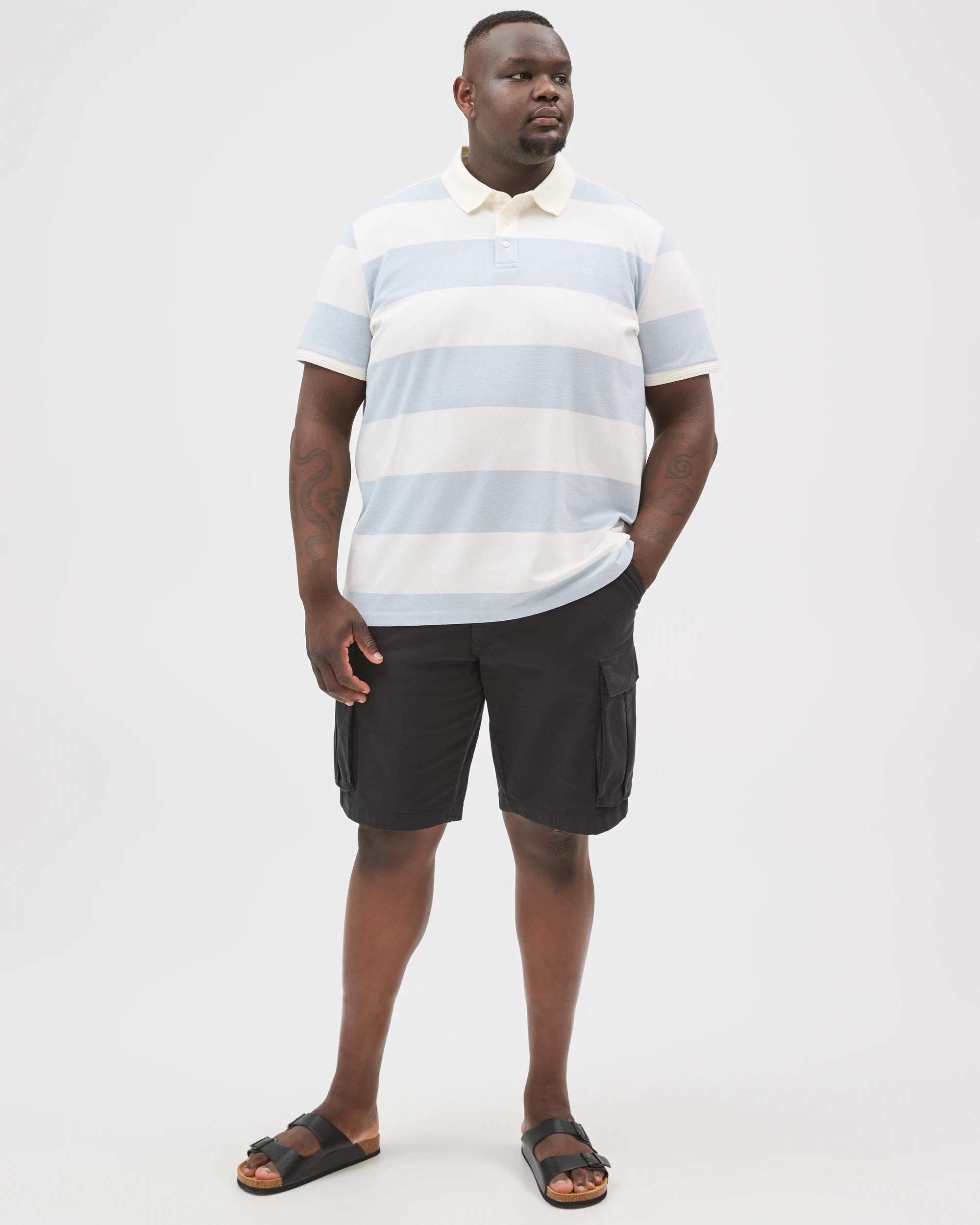 1 Target Man Plus Size Australian Cotton Block Stripe Polo Top NEUTRAL, 1 of 6
