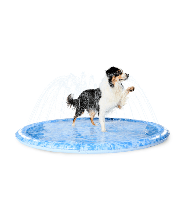 Pet Sprinkler Mat - Large