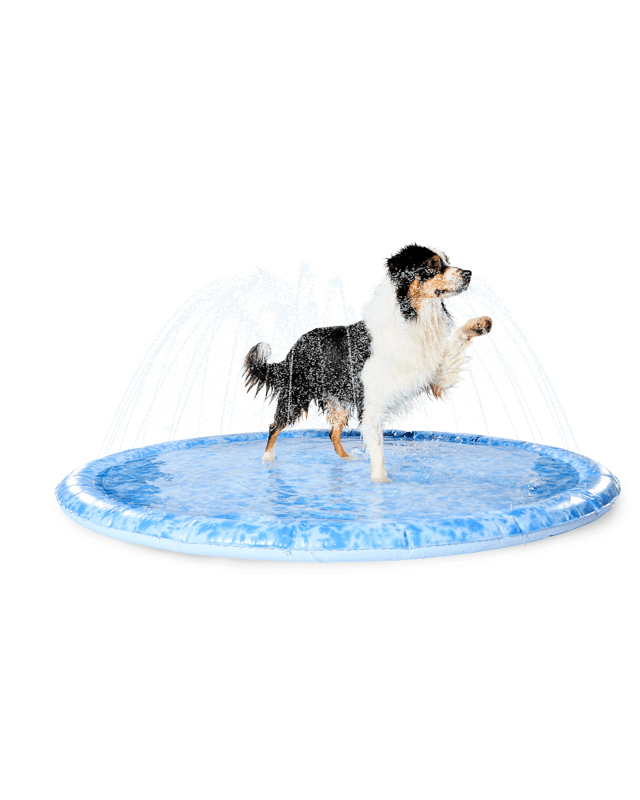 Pet Sprinkler Mat - L