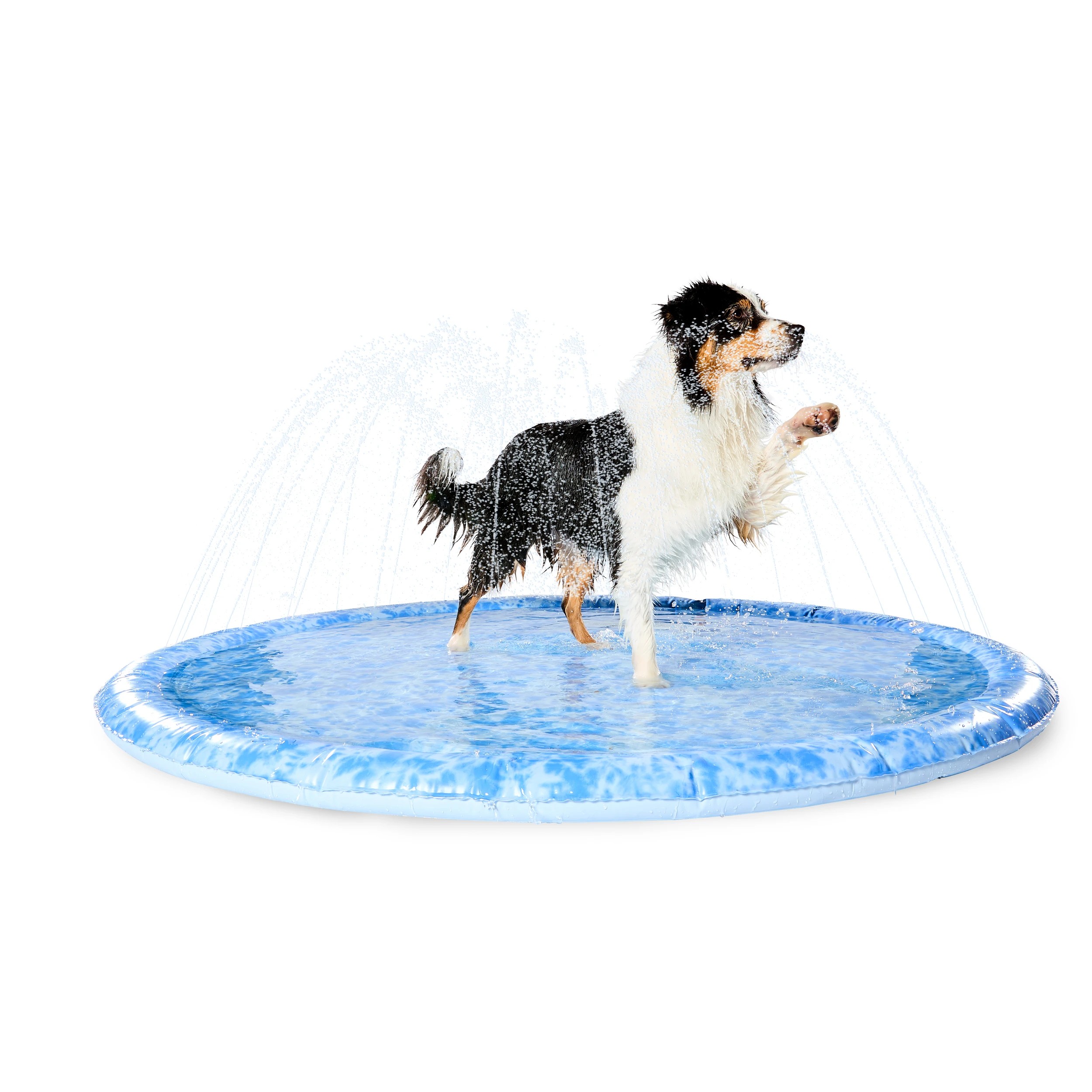 1 Pet Sprinkler Mat - Large, 1 of 9