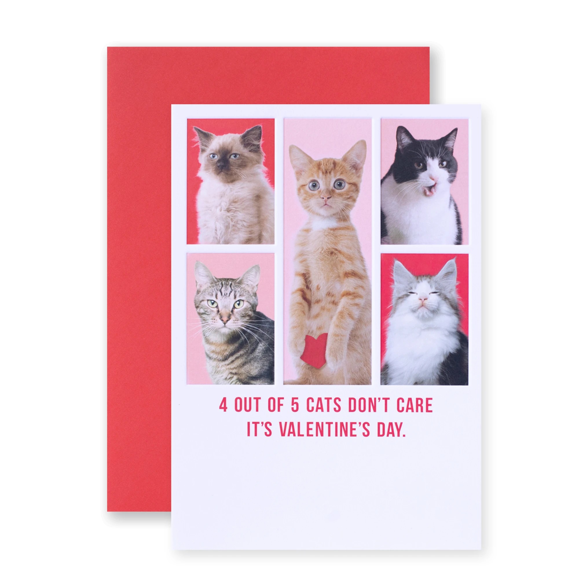 1 Hallmark Shoebox Valentine's Day Card - 4 out of 5 Cats Don't Care It's Valentine's Day, 1 of 3