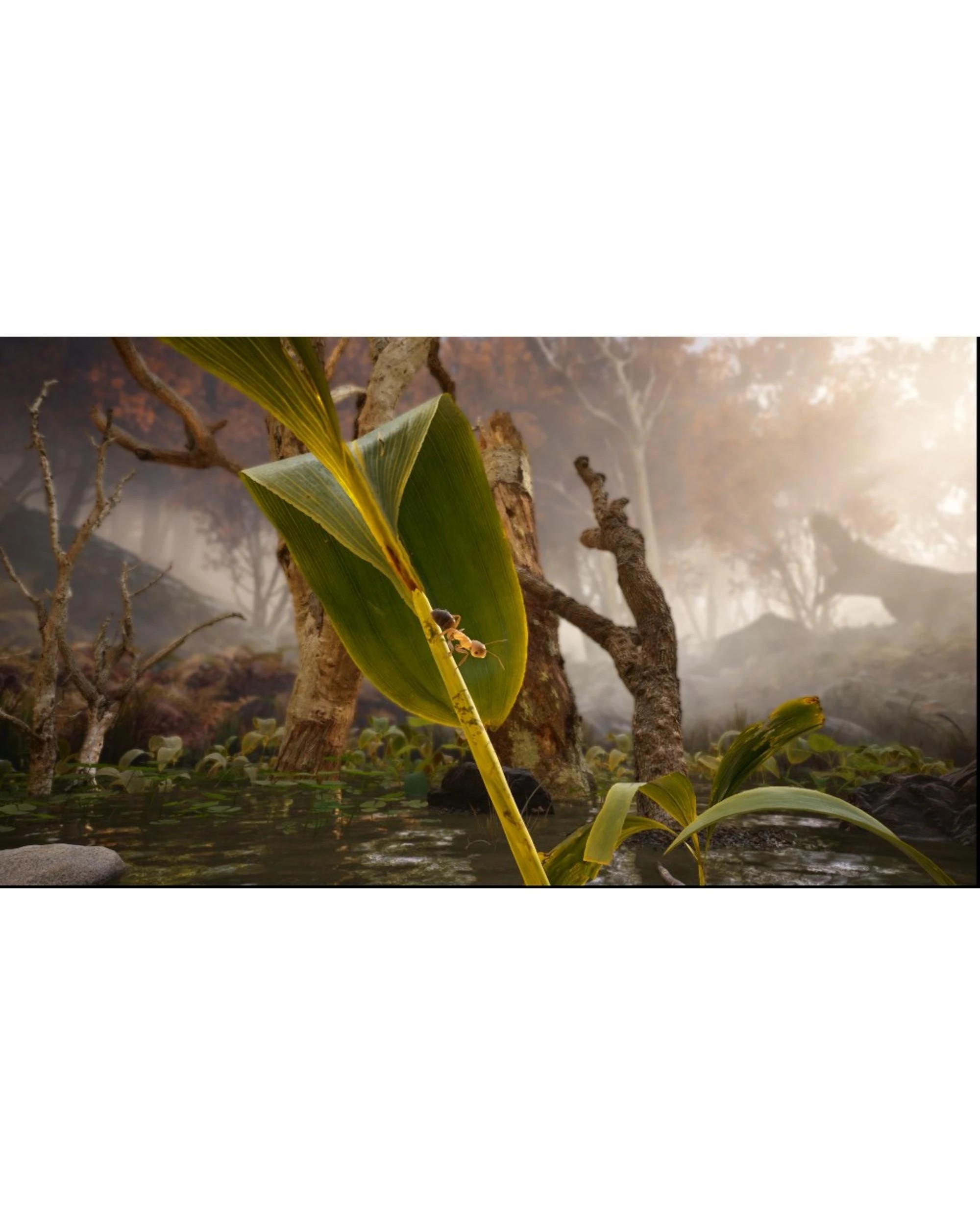 5 Empire of the Ants Limited Edition - PS5, 5 of 7