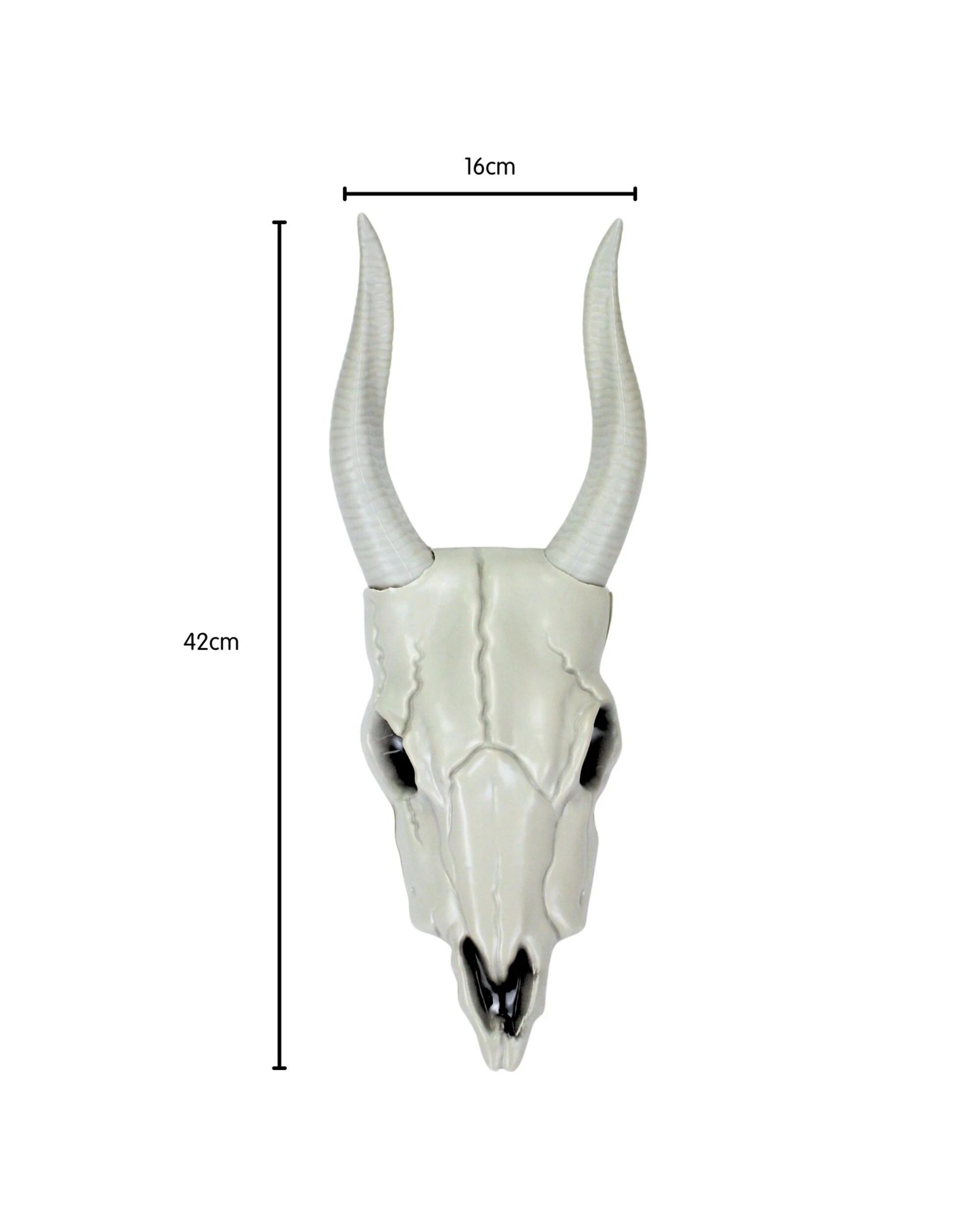 2 Uncle Bills Antelope Skeleton Head Decoration - White, 2 of 3