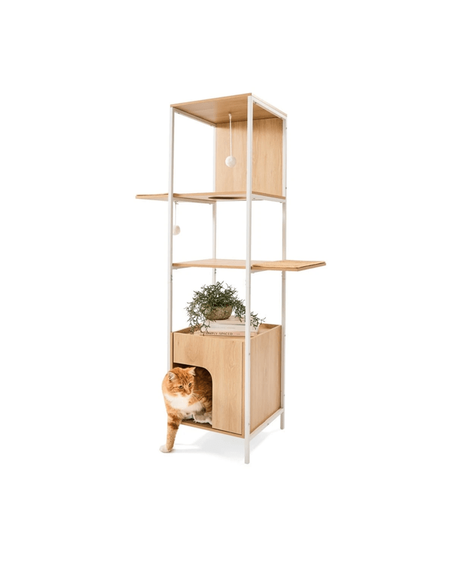 Cat Tower Wo