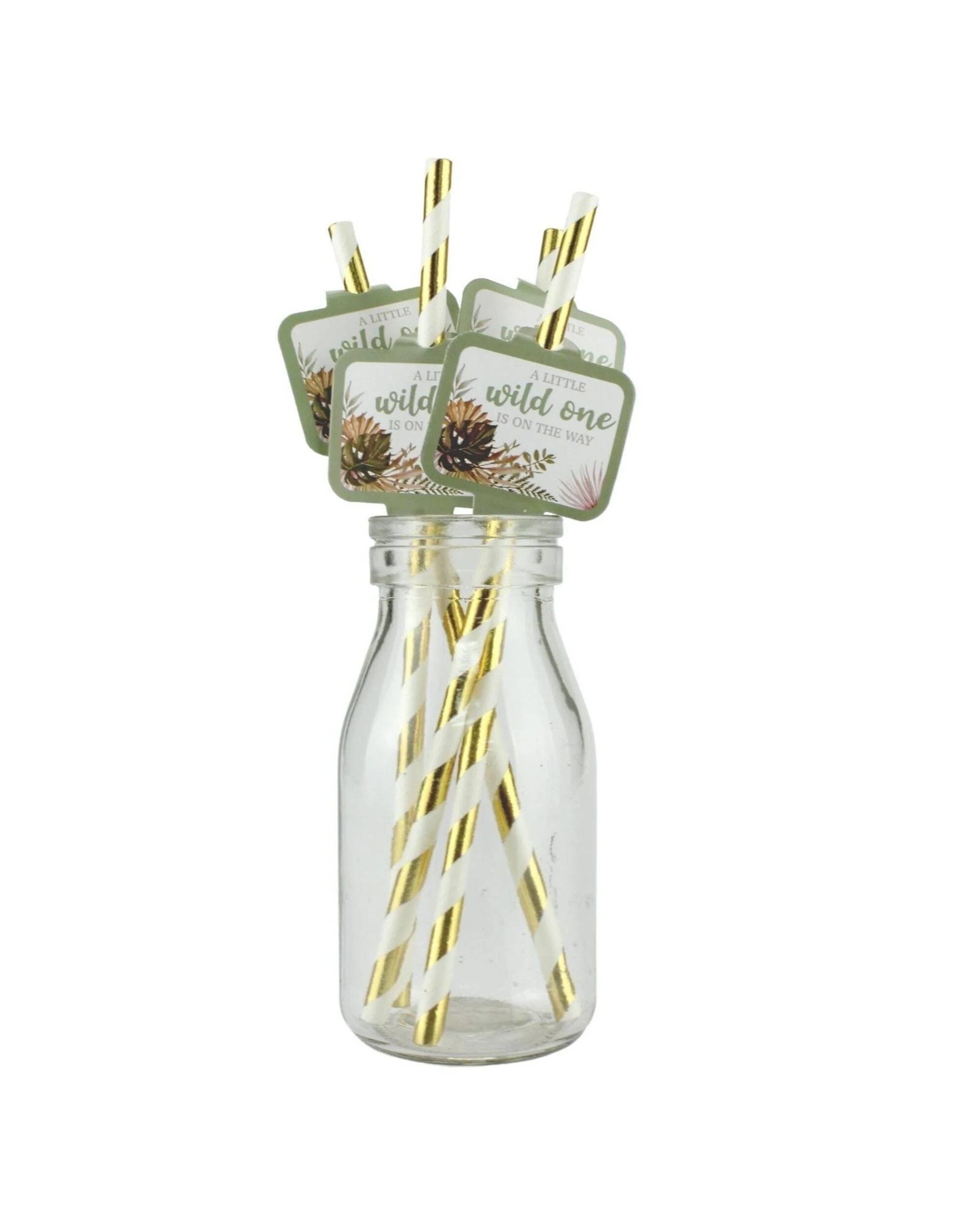 1 Shmick Wild One Baby Paper Straws Pack of 12 - Multi, 1 of 1