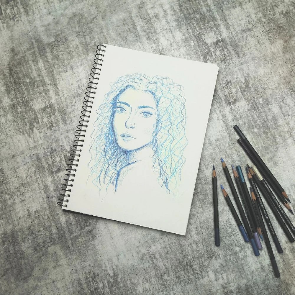 3 Quill A3 Visual Art Diary 110gsm Black, 3 of 4