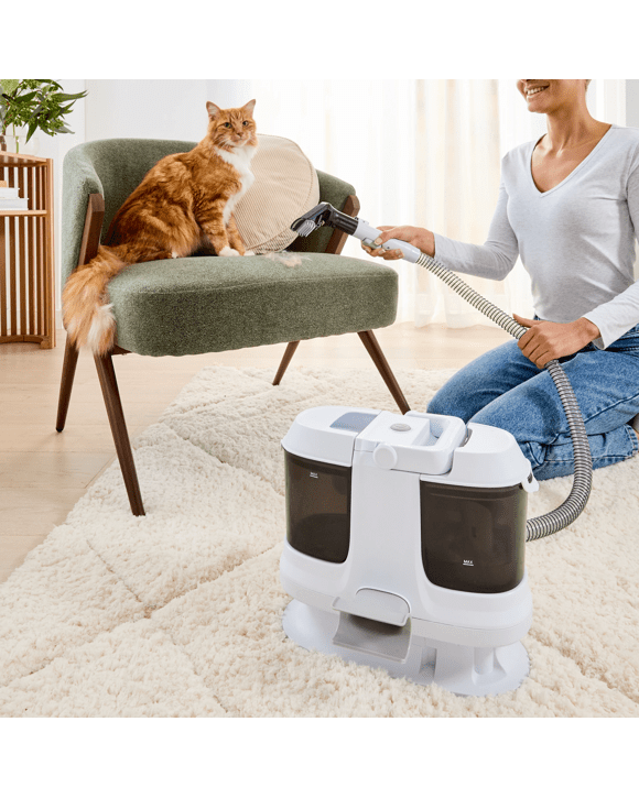 Compact Spot Cleaner