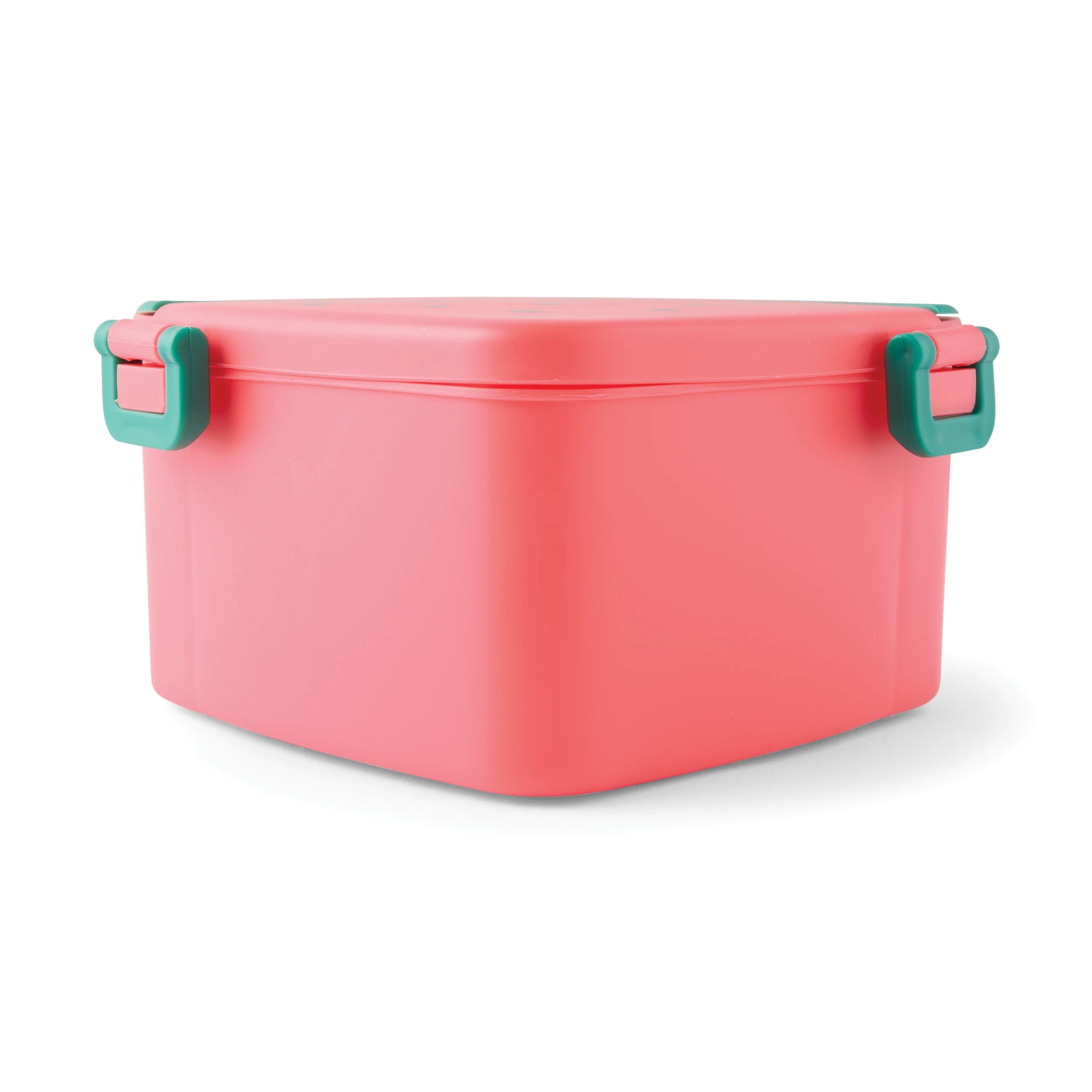 5 Watermelon Lunch Box, 5 of 6