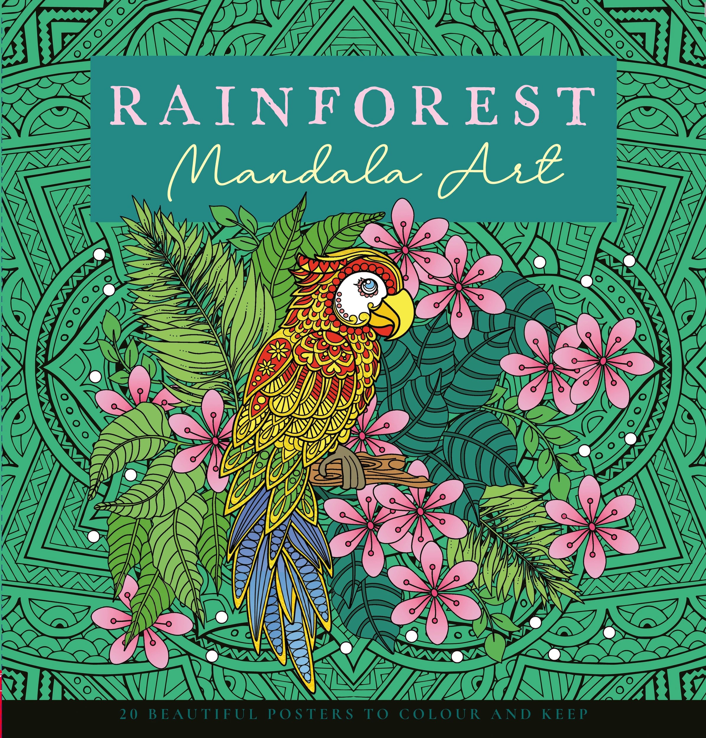 1 Mandala Poster Art: Rainforest - Book