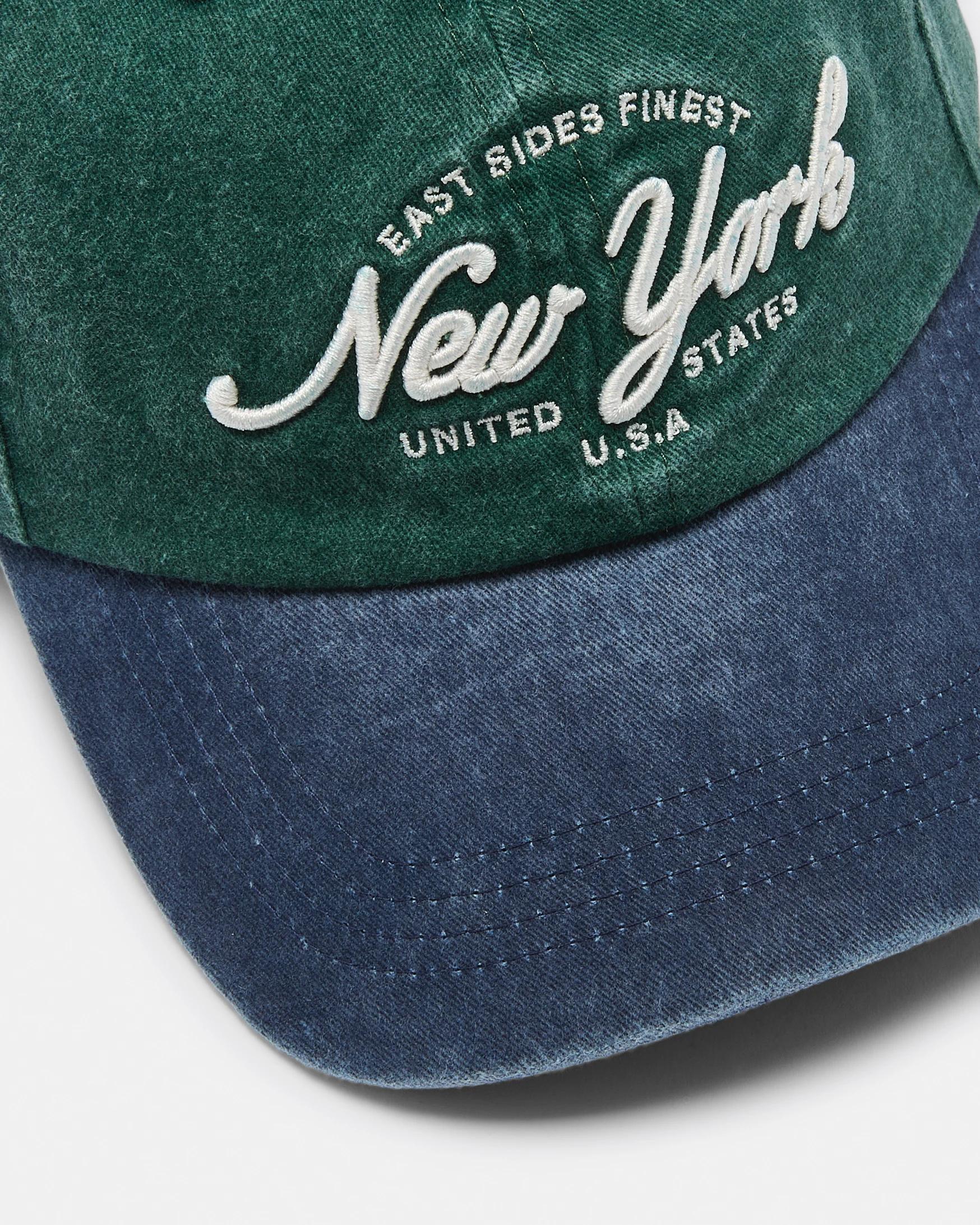 3 Elevated Dad Cap New York, 3 of 3
