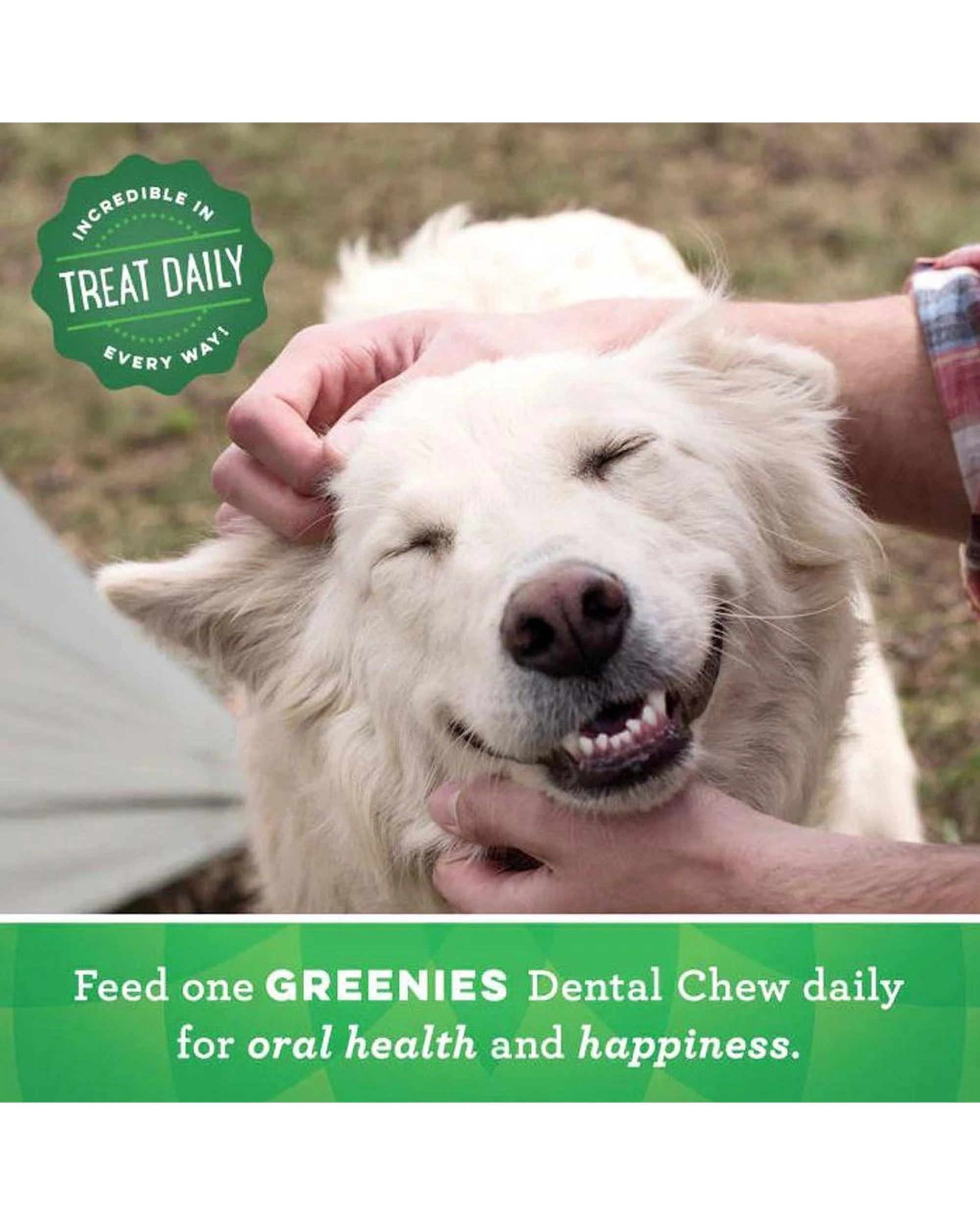 2 Greenies Dental Treats Oral Care Original Teenie for Dogs 2-7kg 22 Pack, 2 of 9