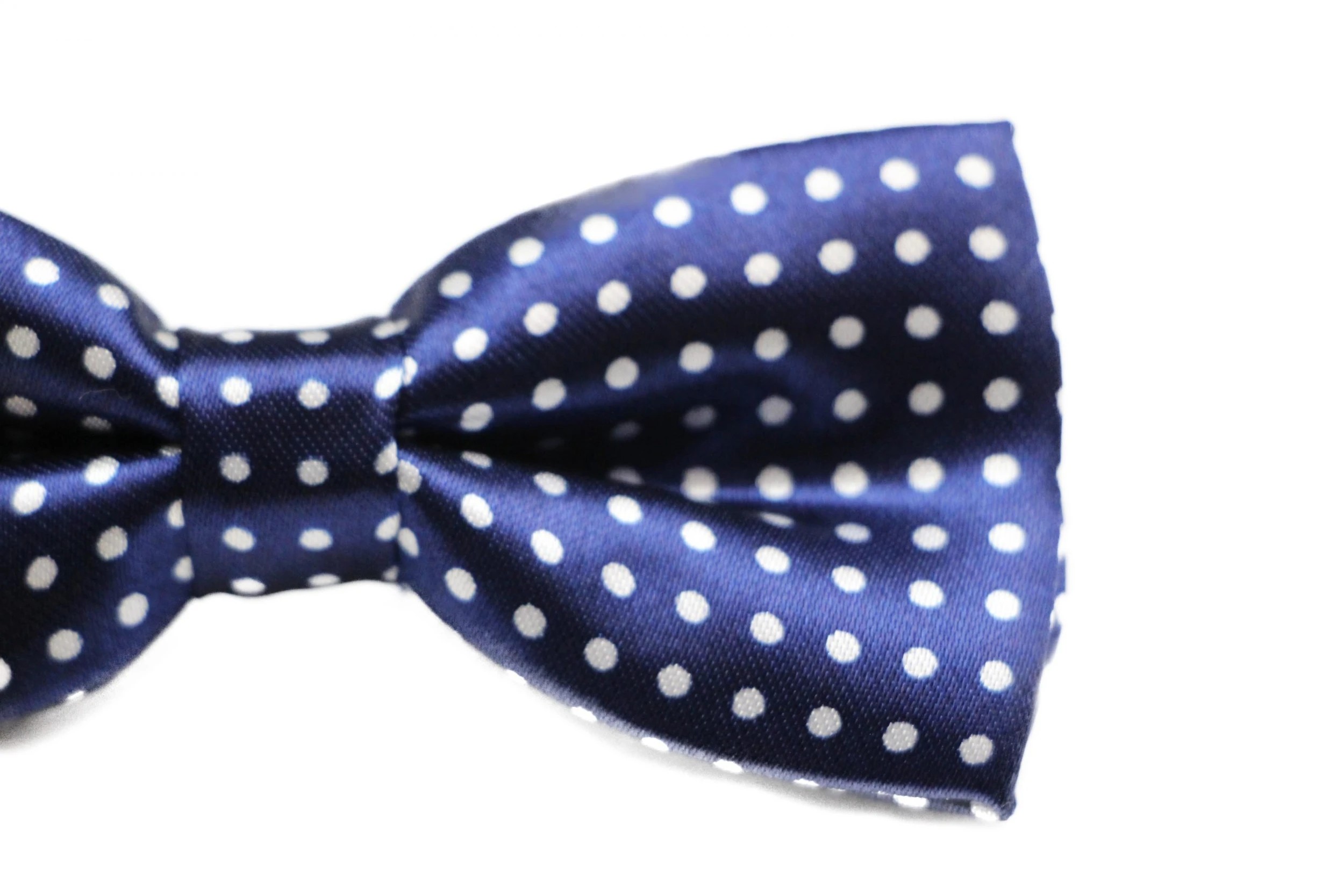 4 Zasel Boys Navy With White Small Polka Dots Patterned Bow Tie - Multi, 4 of 5