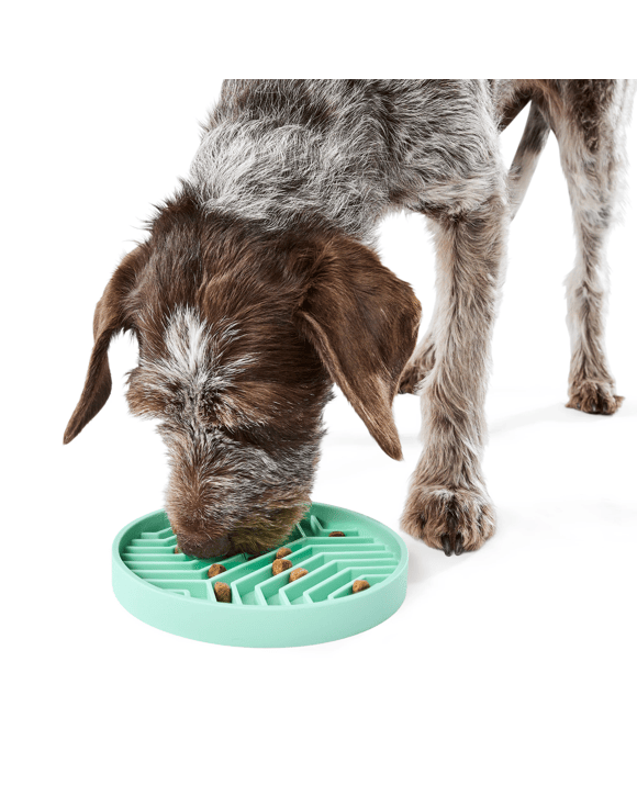 Pet Silicone Slow Feed Plate - Teal