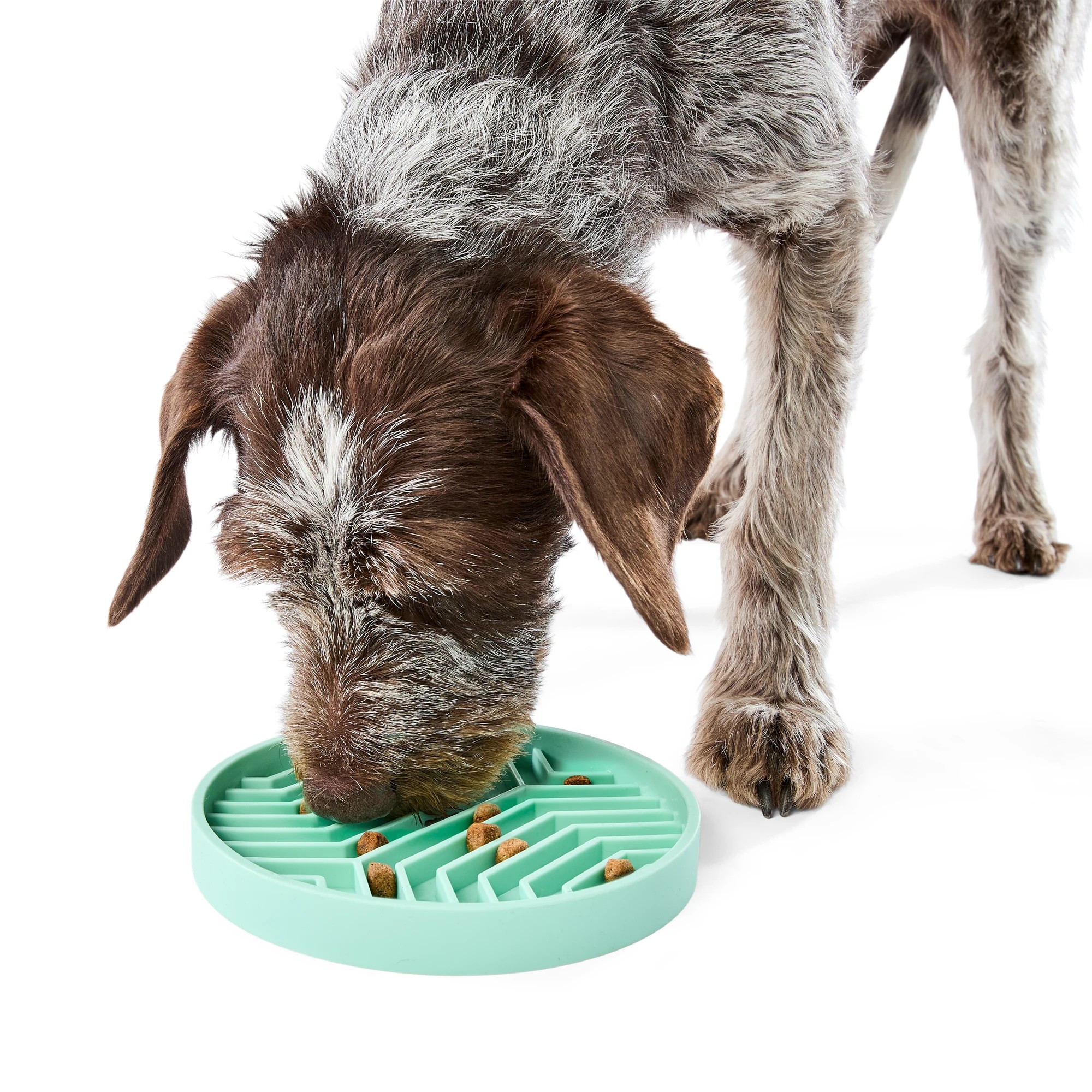 1 Pet Silicone Slow Feed Plate - Teal, 1 of 7