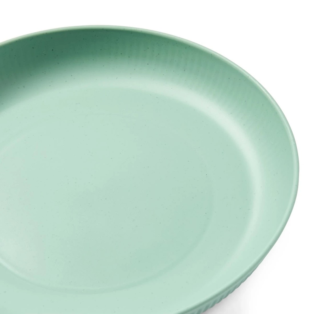 10 Reusable Plate - Assorted, 10 of 10