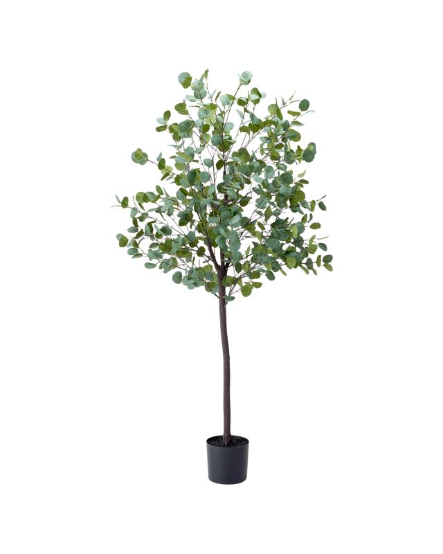 Extra Large Artificial Eucalyptus 