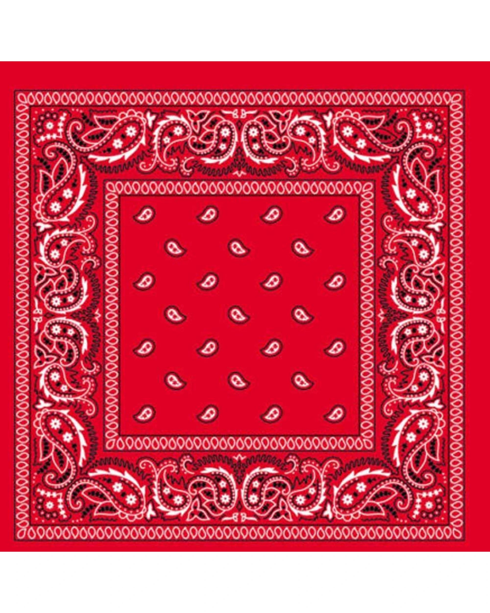 1 BR Costumes Cotton Paisley Bandana Head Wrap, 1 of 3
