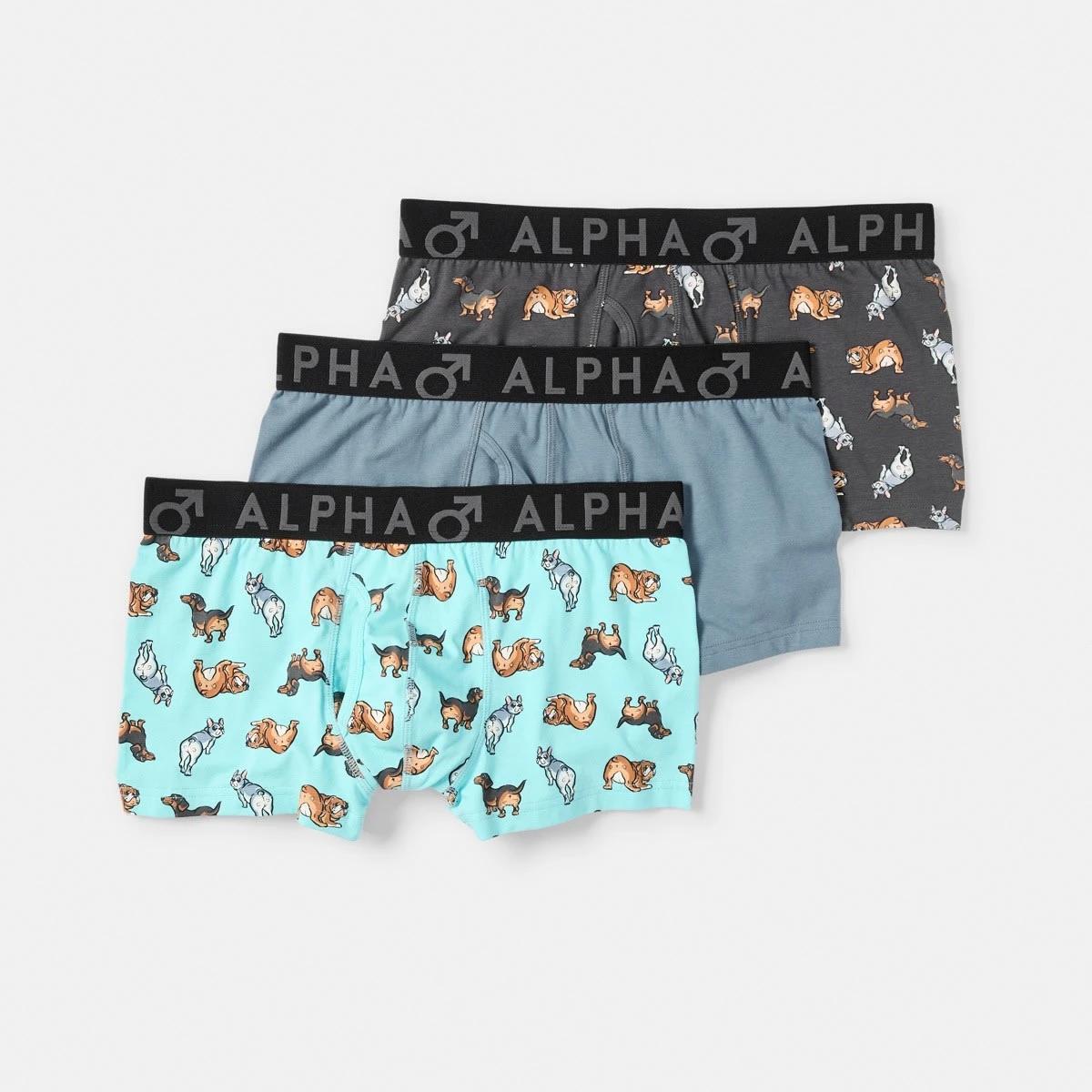 1 3 Pack Fly Front Print Trunks Hey Pups, 1 of 8