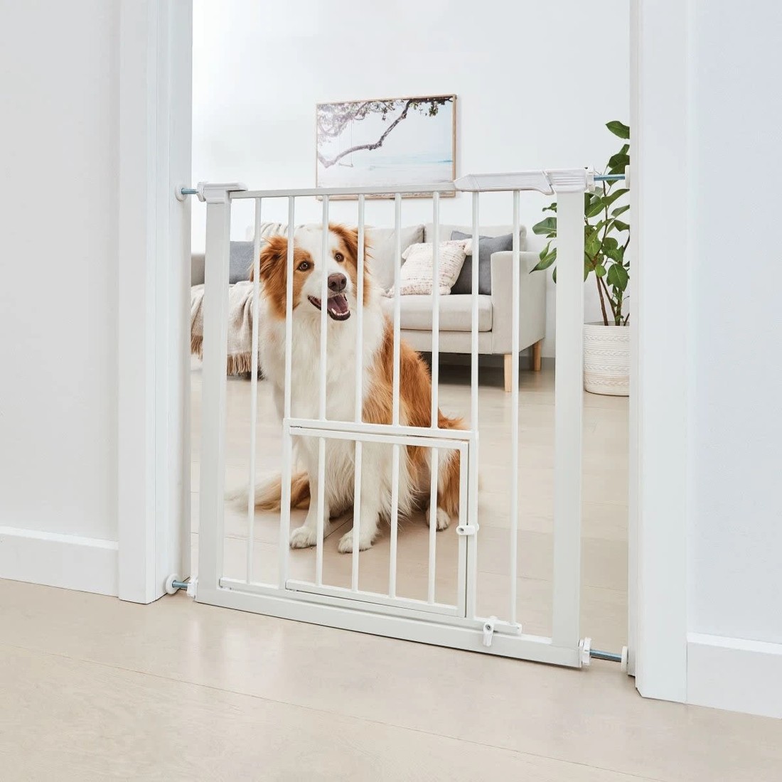 1 Pet Gate with Extension, 1 of 10