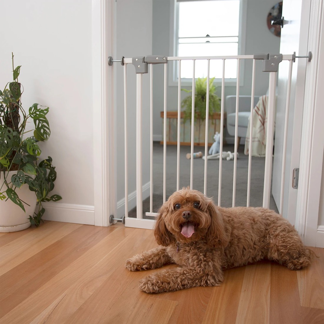 2 Metal Gate with Extensions, 2 of 5