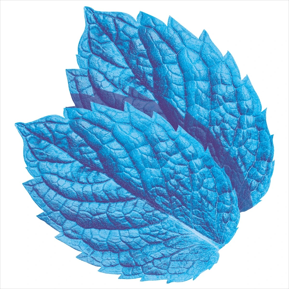 5 46 Piece Wrigley's Extra Peppermint Gum 64g, 5 of 5