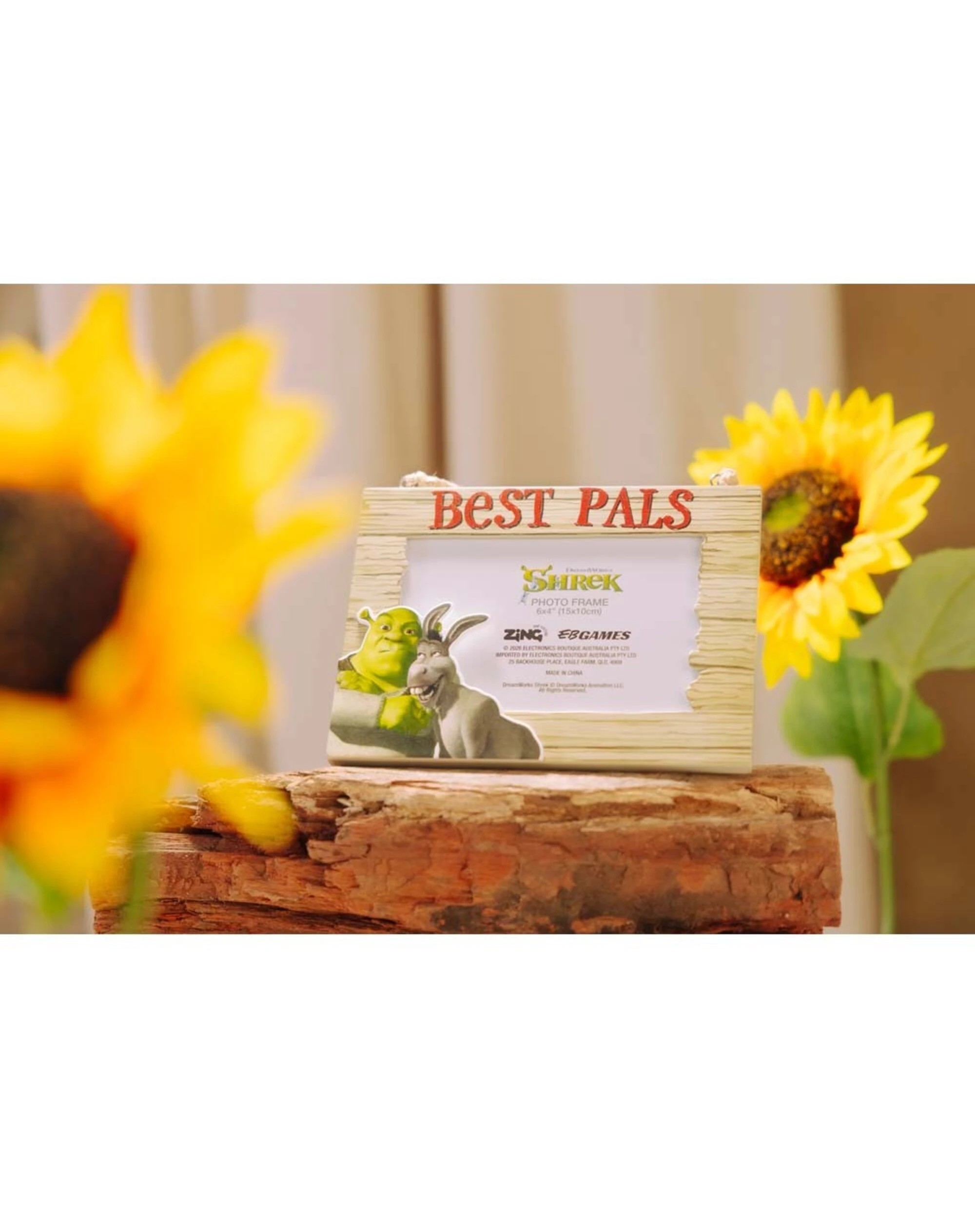 4 Shrek - Best Pals Photo Frame, 4 of 4