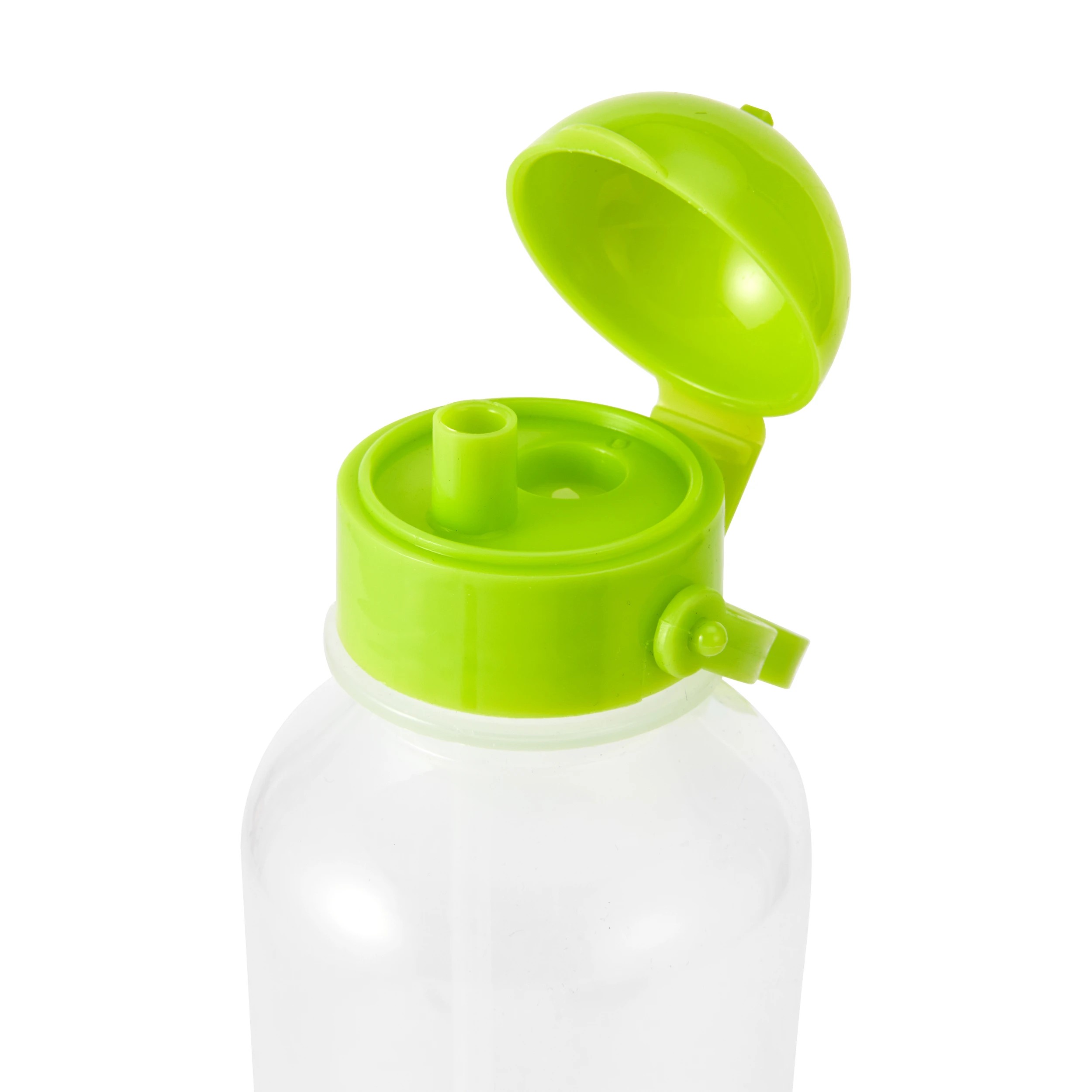 5 Dino Insulated Case and Bottle Set, 5 of 6