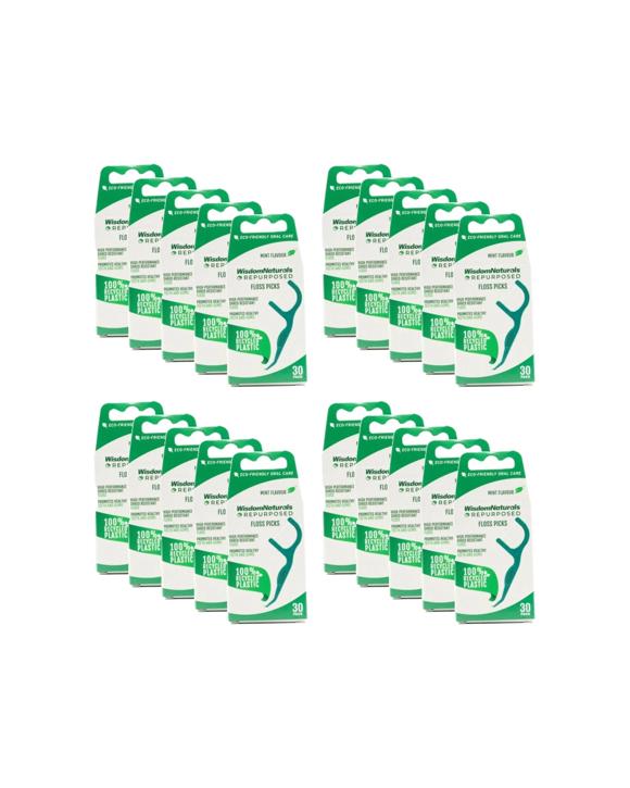 Wisdom 20PK Naturals Recycled Plastic Dental Floss Picks 30pc Set - Multi