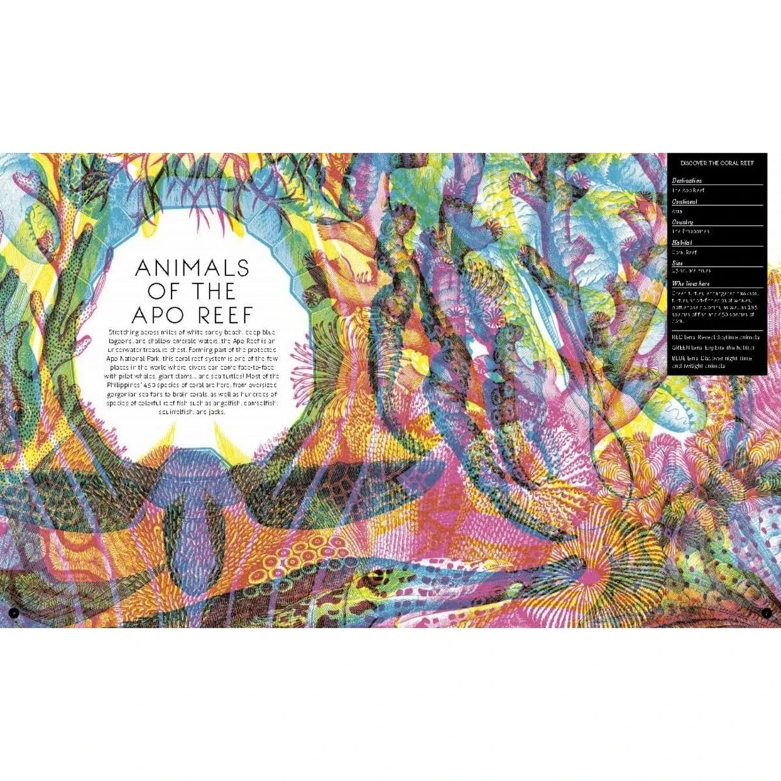 3 Illumipedia by Barbara Taylor - Book, 3 of 5