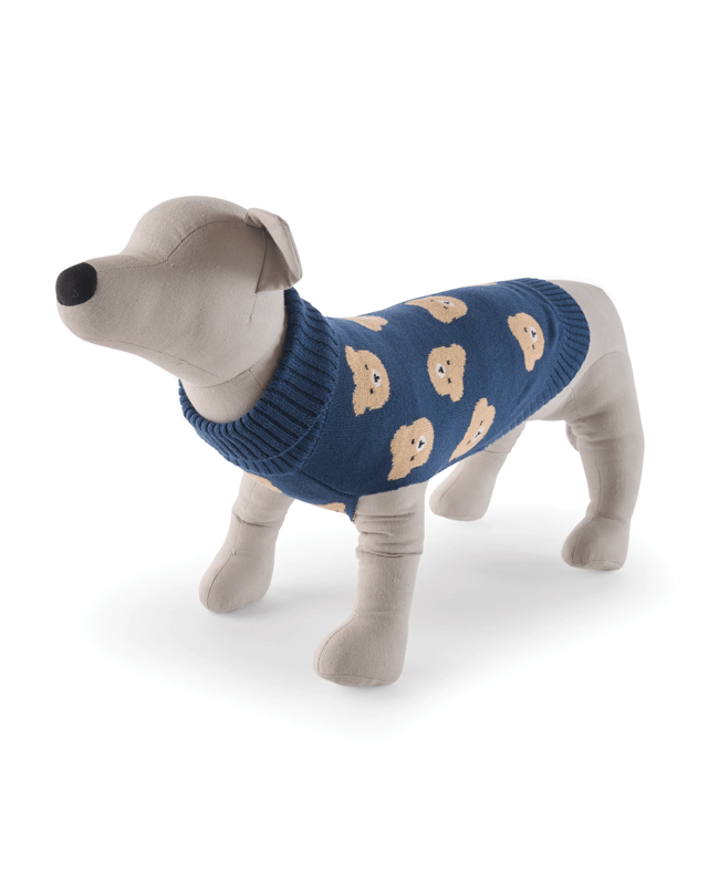 Pet Teddy Knit Jumper - S