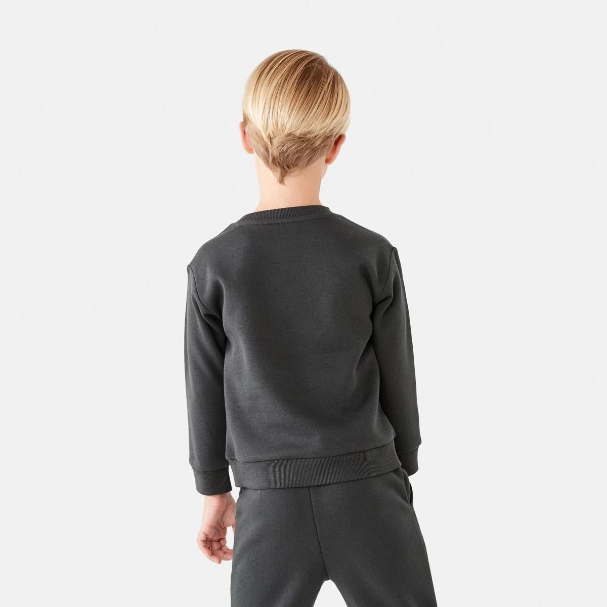 2 Print Crew Neck Sweatshirt Gry Skdino, 2 of 8