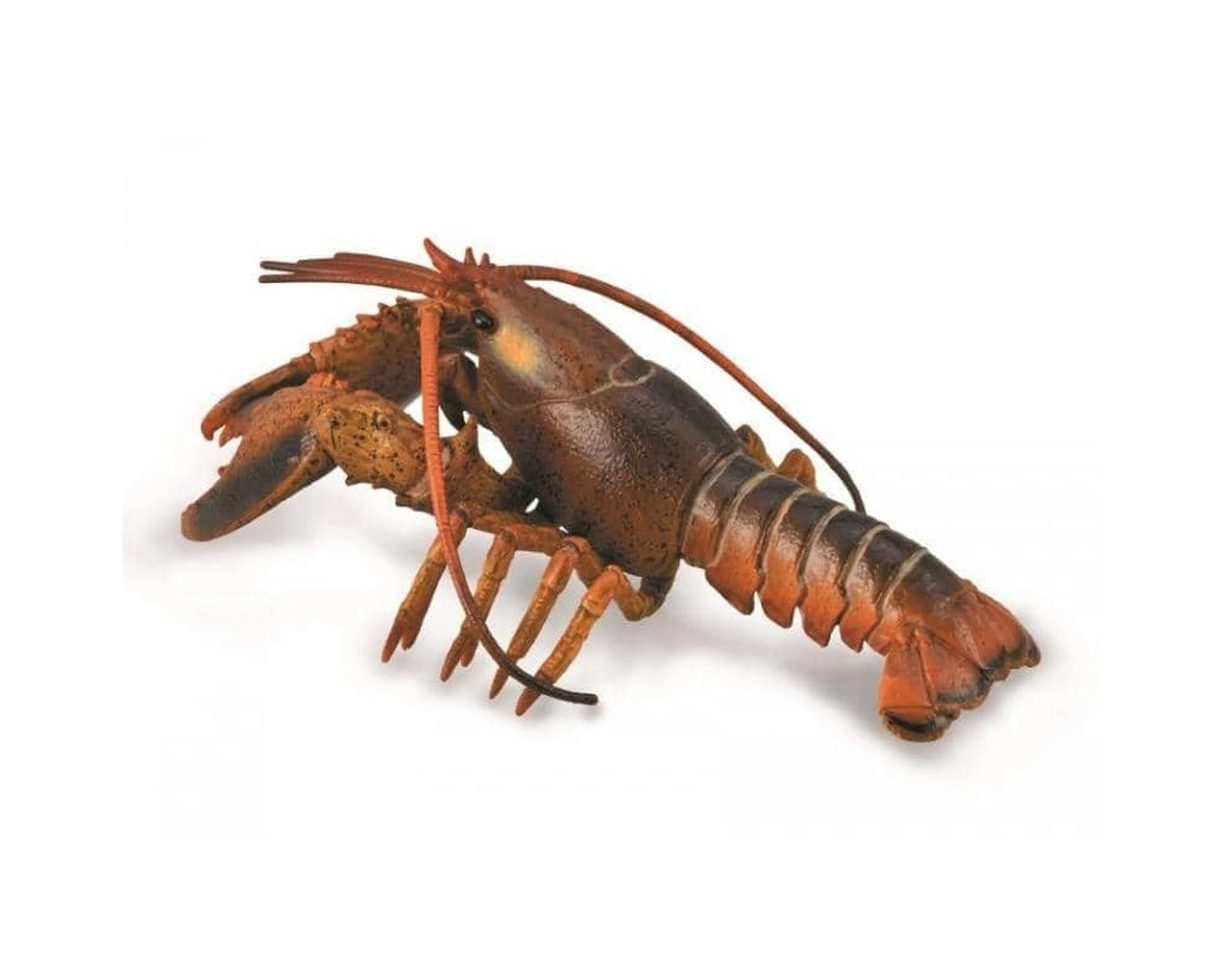 CollectA - Lobster Animal Figurine - Kmart