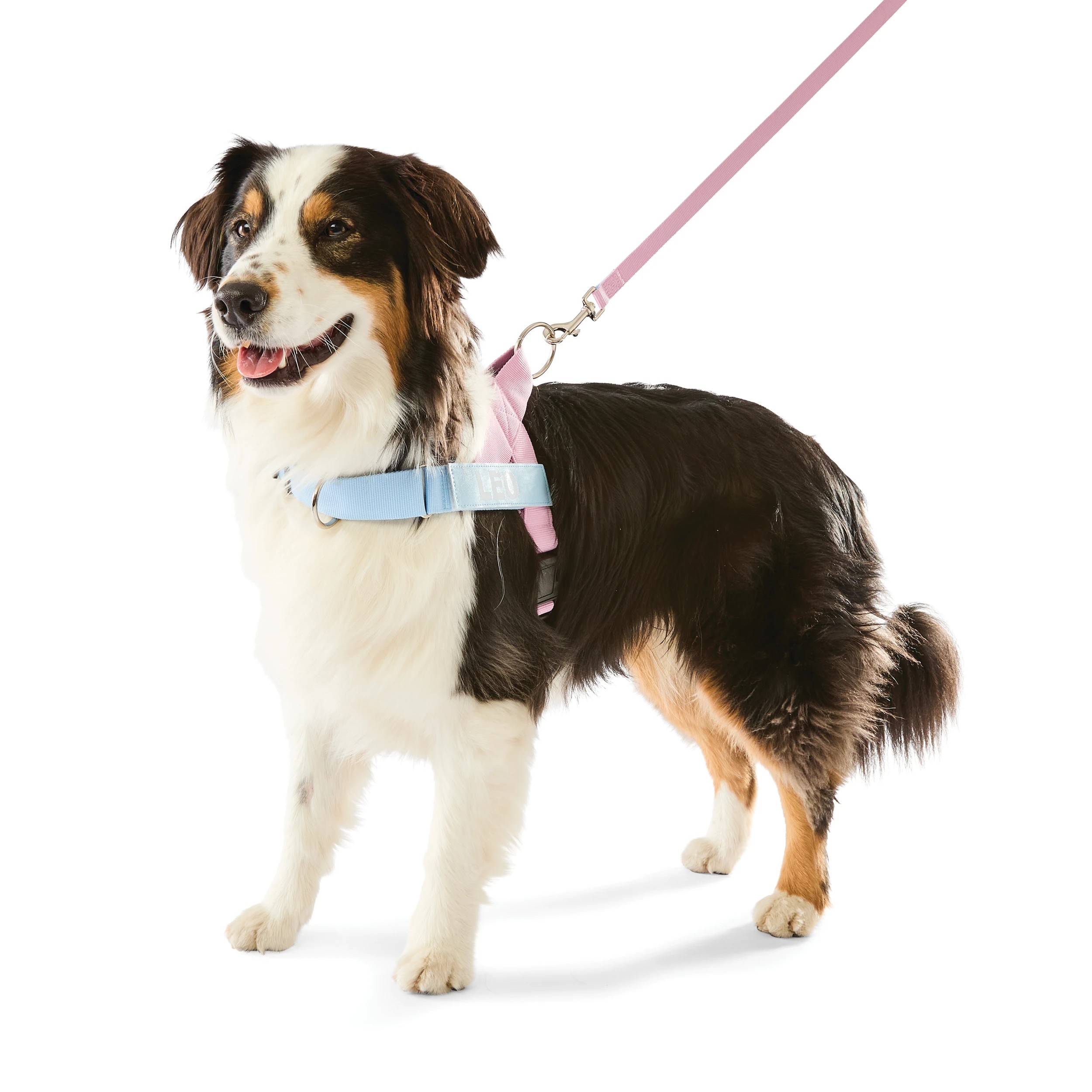 1 Pink Custom Harness Walking Set - Large, 1 of 10