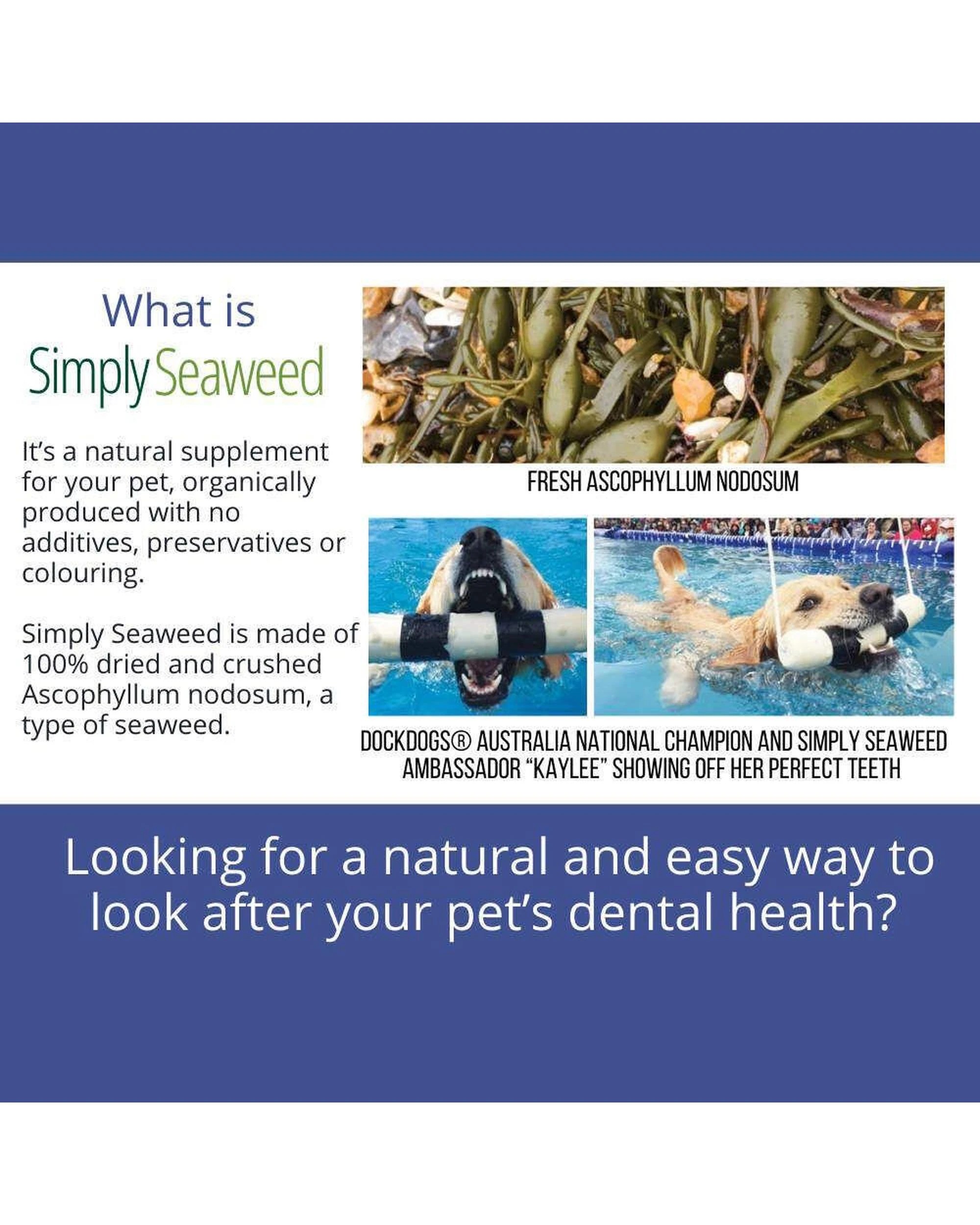 4 Simply Seaweed Dental Health Care Supplement for Cats & Dogs 1.5kg, 4 of 6