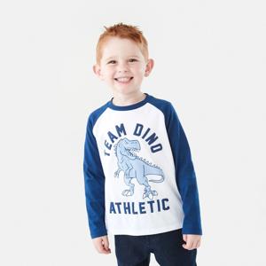 Printed Raglan Long Sleeve T-shirt